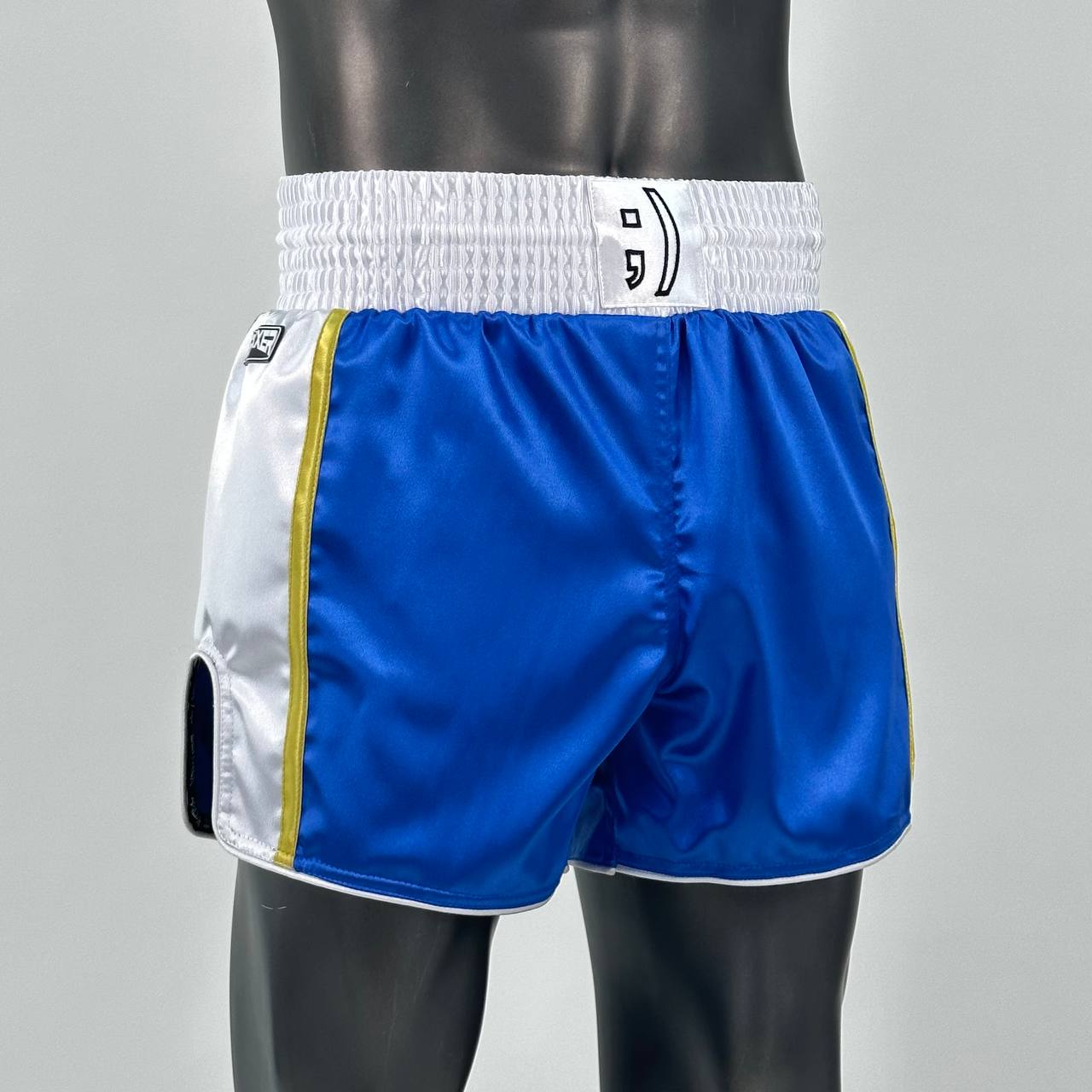 Side Stripe MTS Old Edward  Muay Thai Shorts