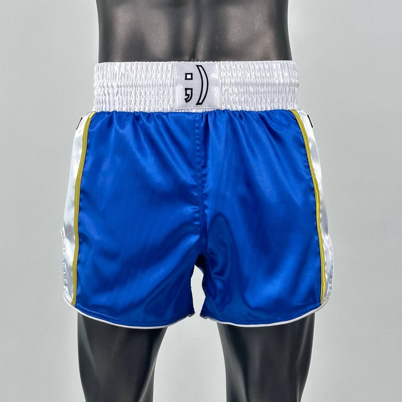 Side Stripe MTS Edward  Muay Thai Shorts