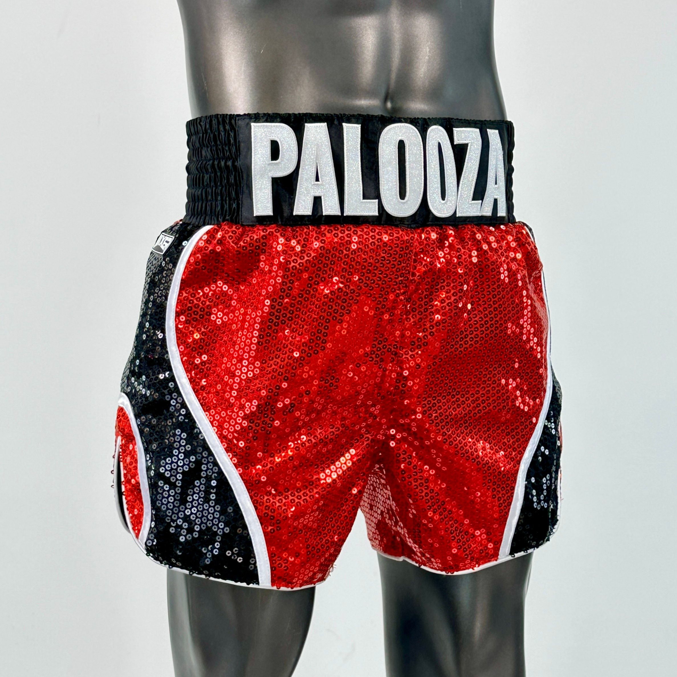 DREAM MTS Jordan Muay Thai Shorts