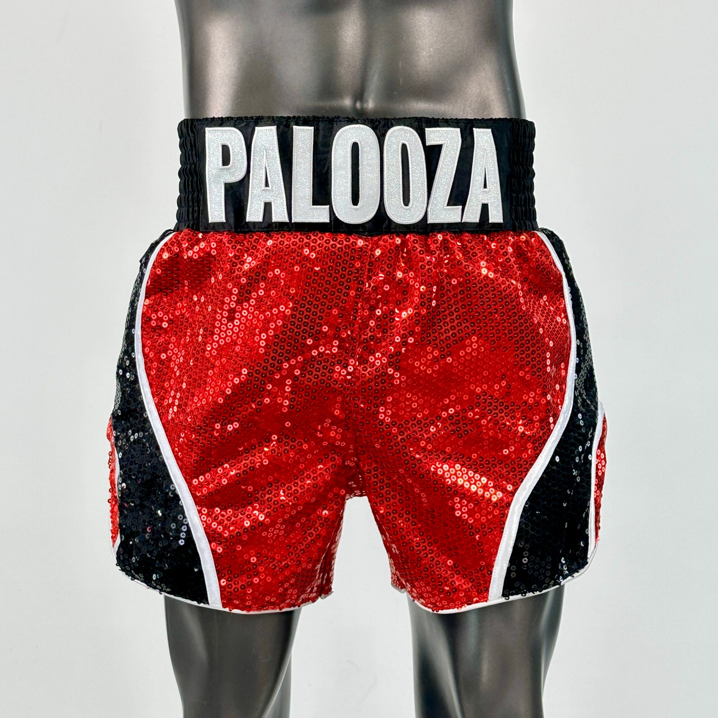 DREAM MTS Jordan Muay Thai Shorts
