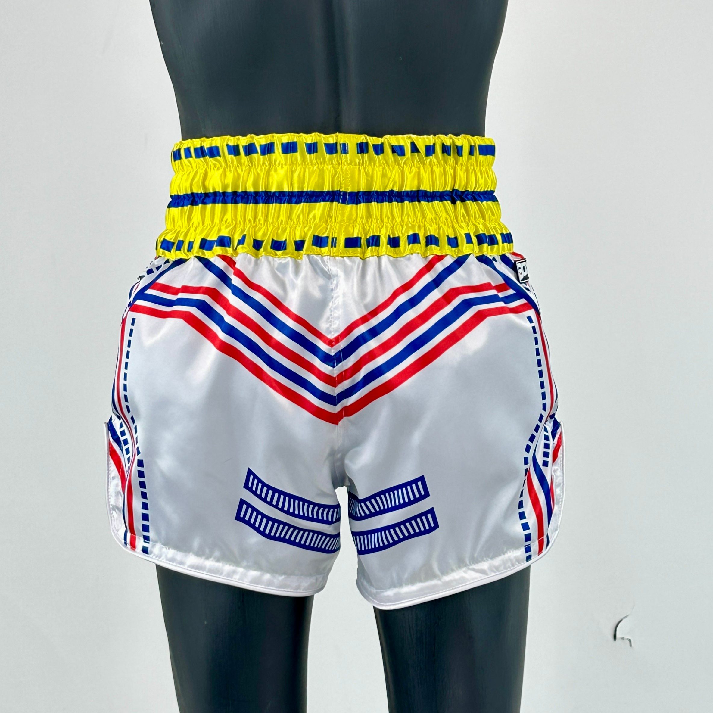 ROBOT MTS Alex Muay Thai Shorts