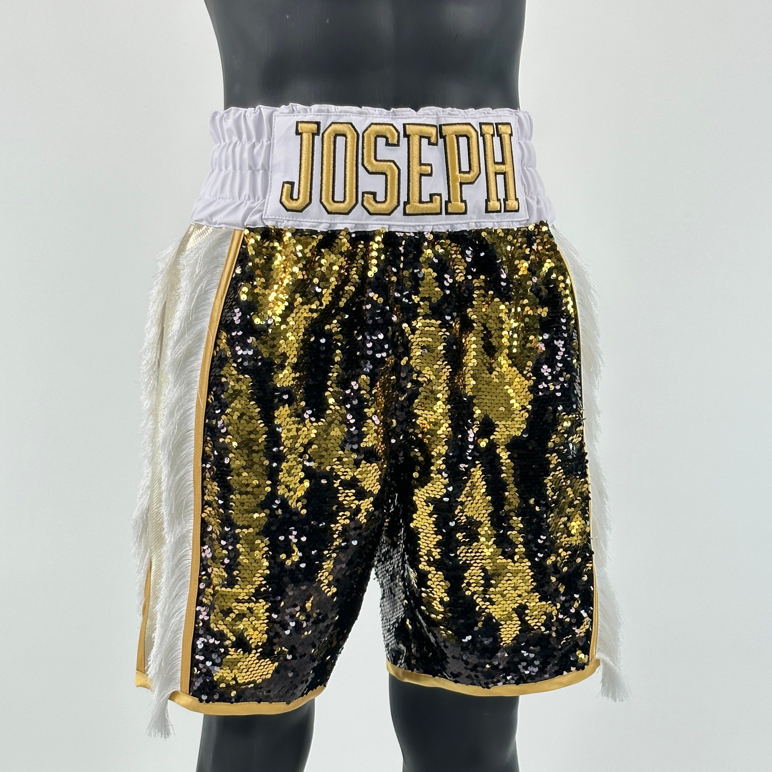 Side Stripe BX  Joseph Custom Boxing Shorts & Trunks