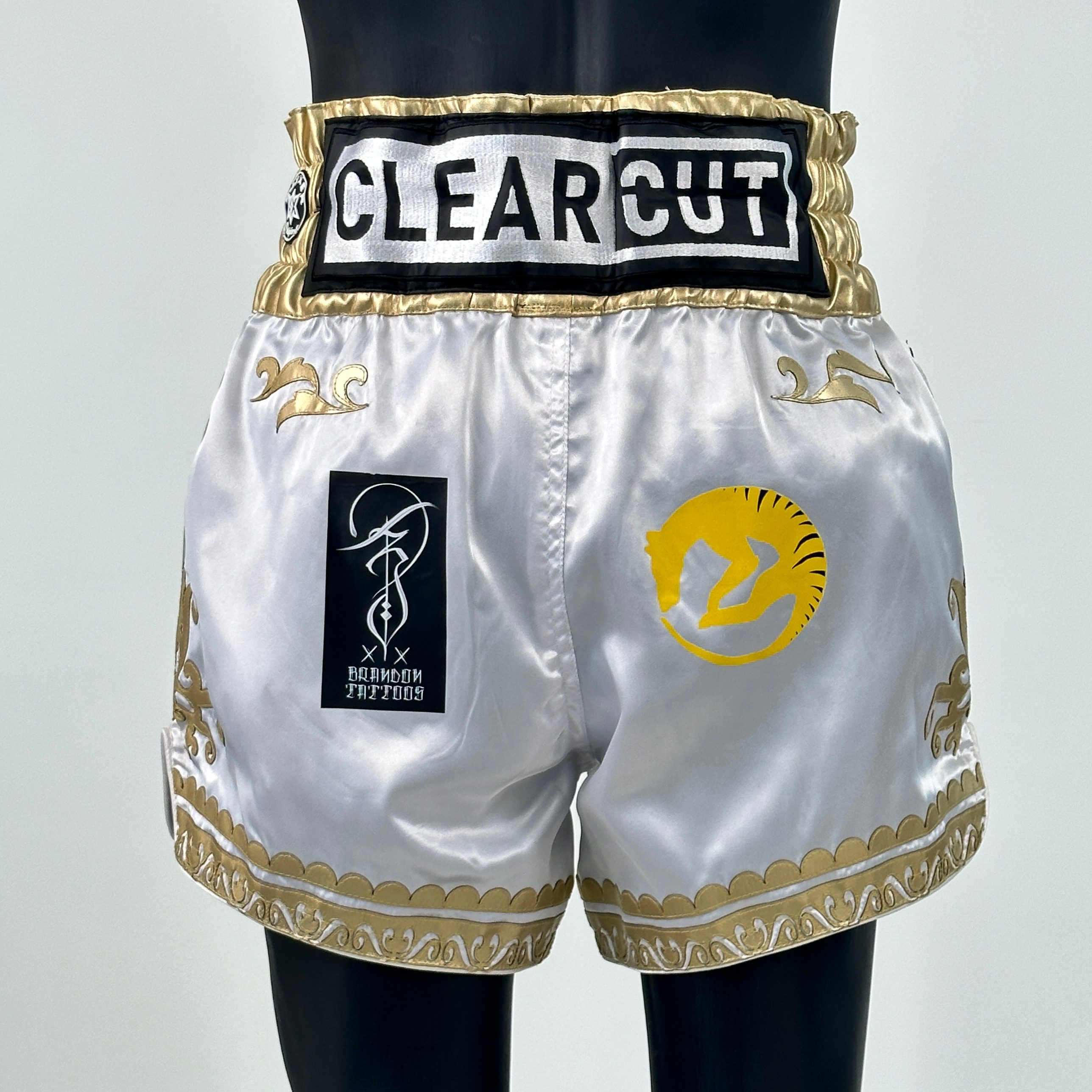 GGG MTS (Boxxerworld Elite) Old Ethan Muay Thai Shorts