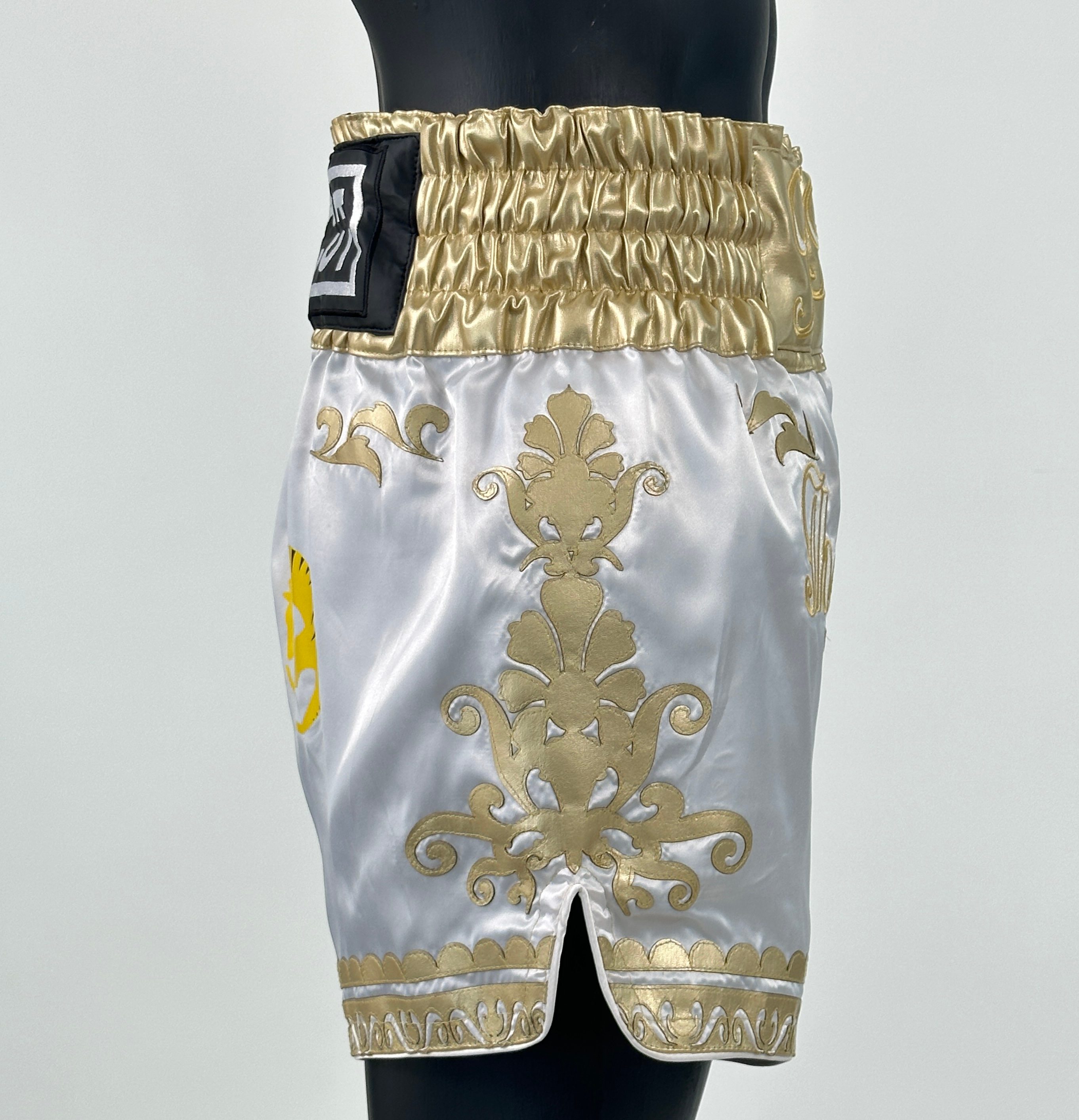 GGG MTS (Boxxerworld Elite) Old Ethan Muay Thai Shorts