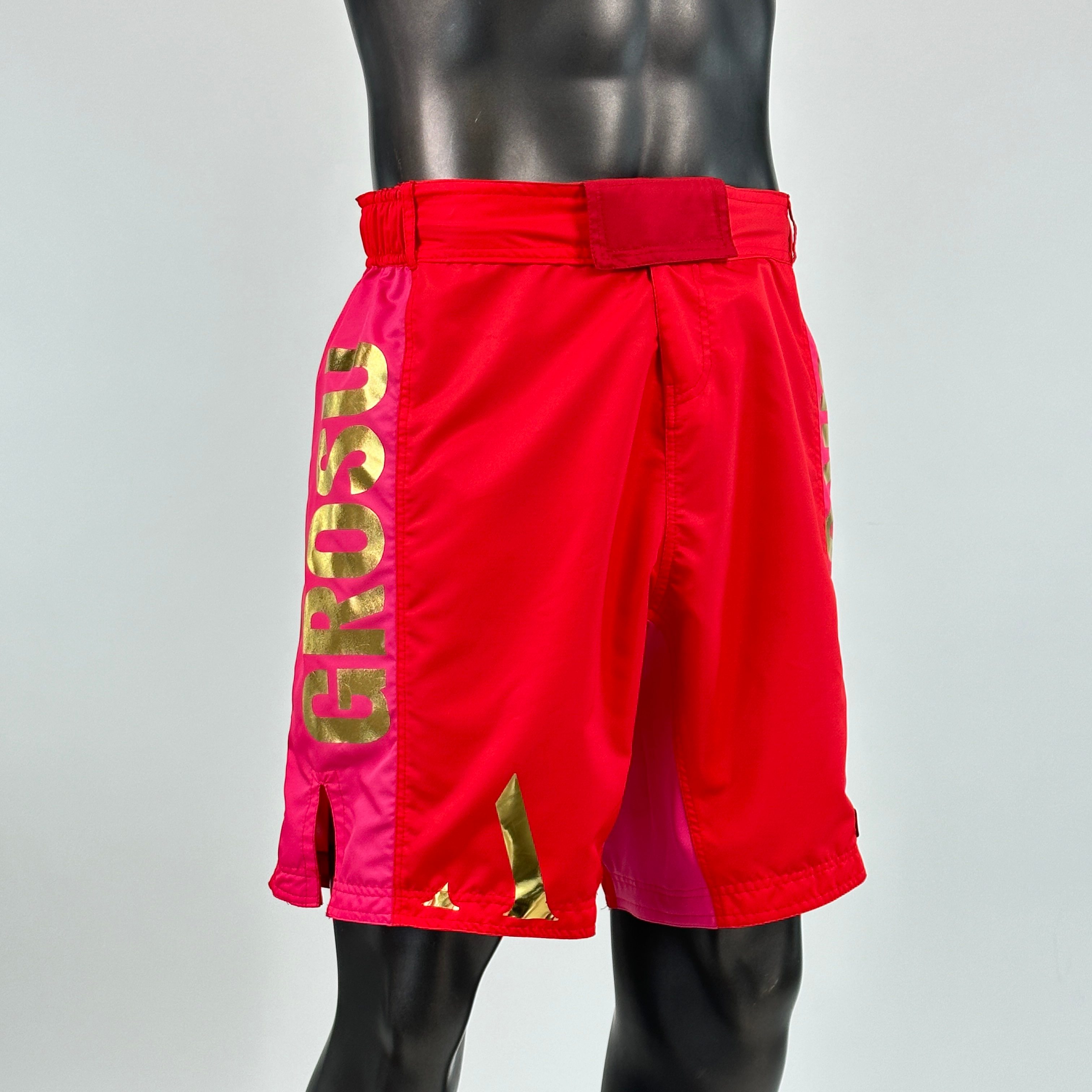 Sidestripe MMA Alex MMA Shorts