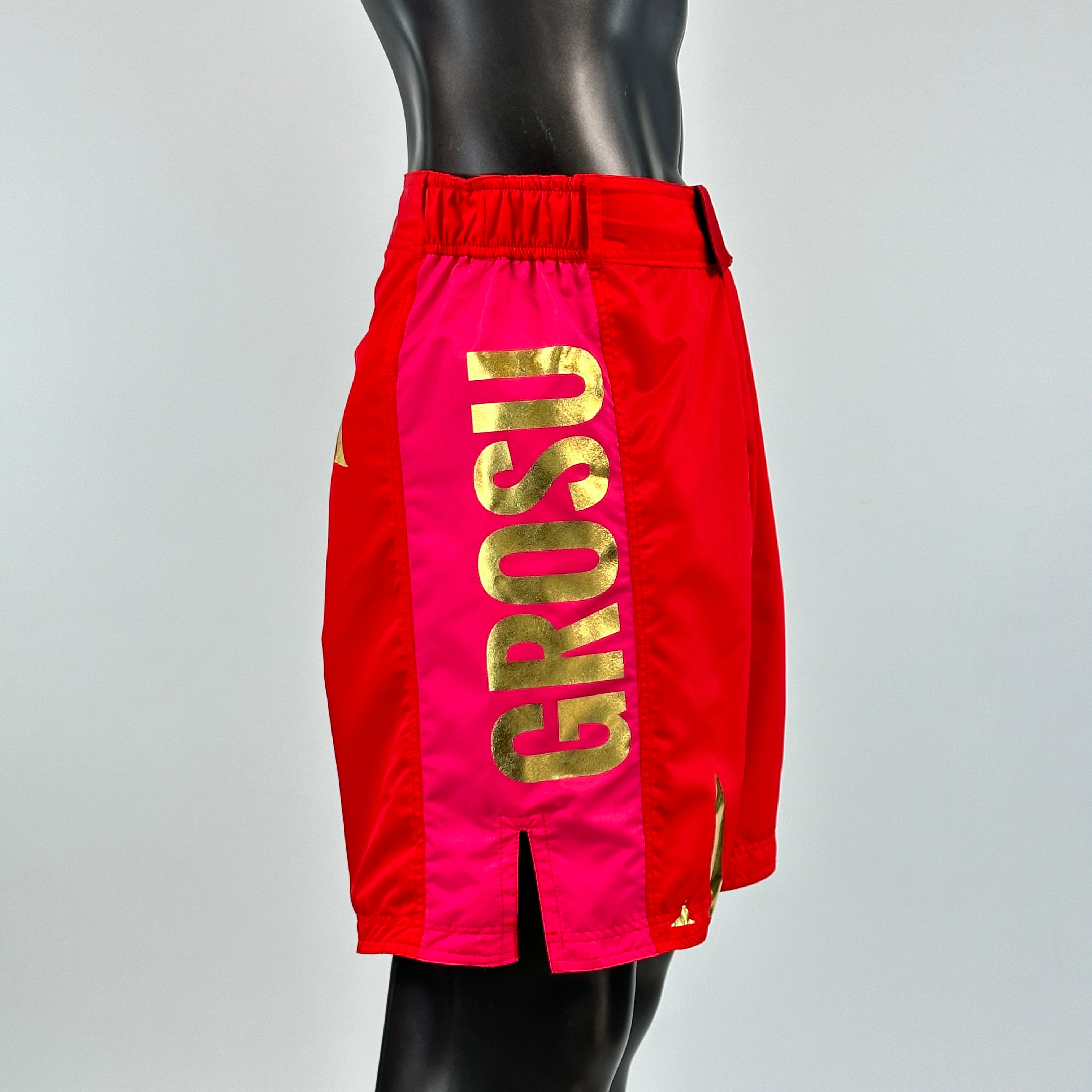 Sidestripe MMA Alex MMA Shorts