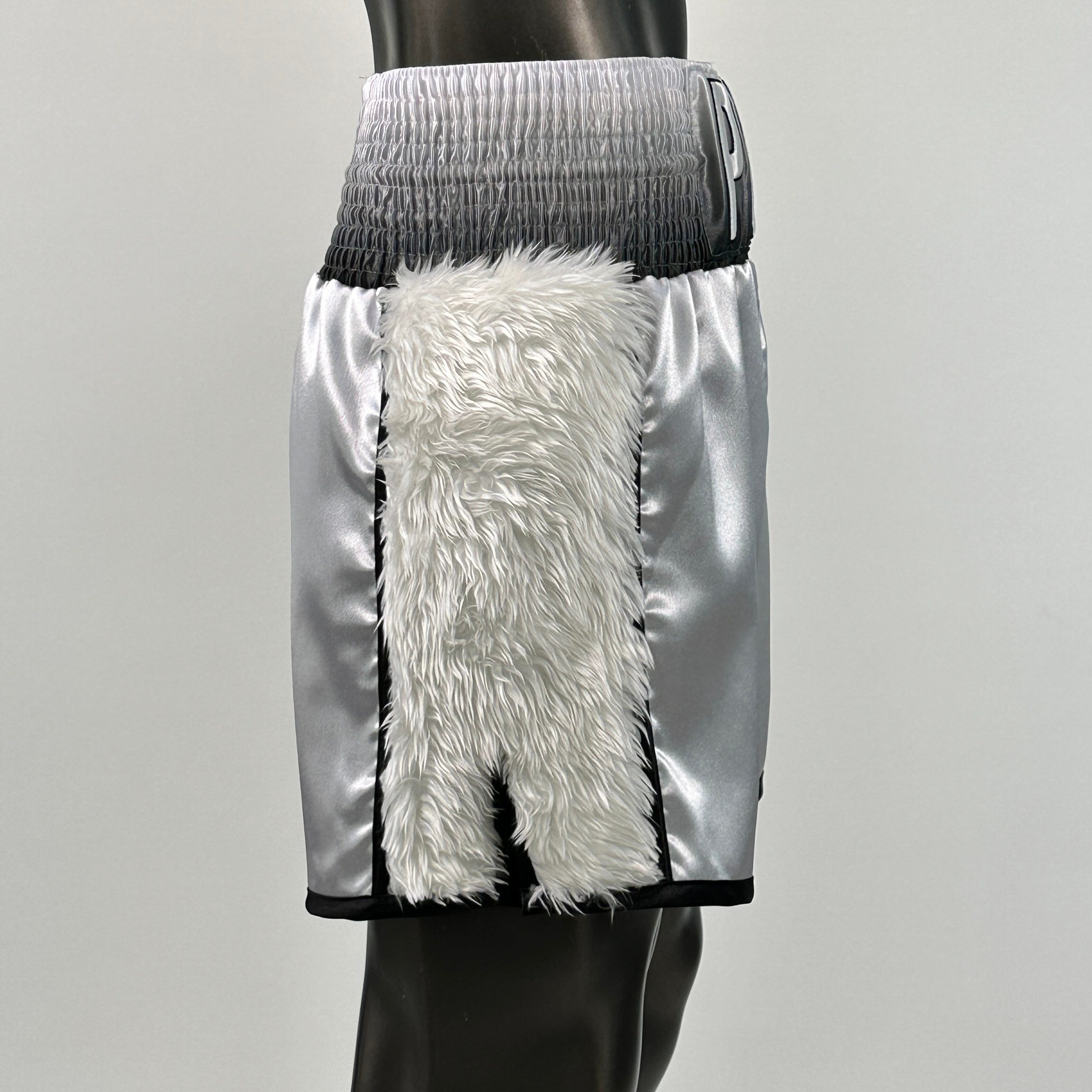 Side Stripe BX  Ben Custom Boxing Shorts & Trunks