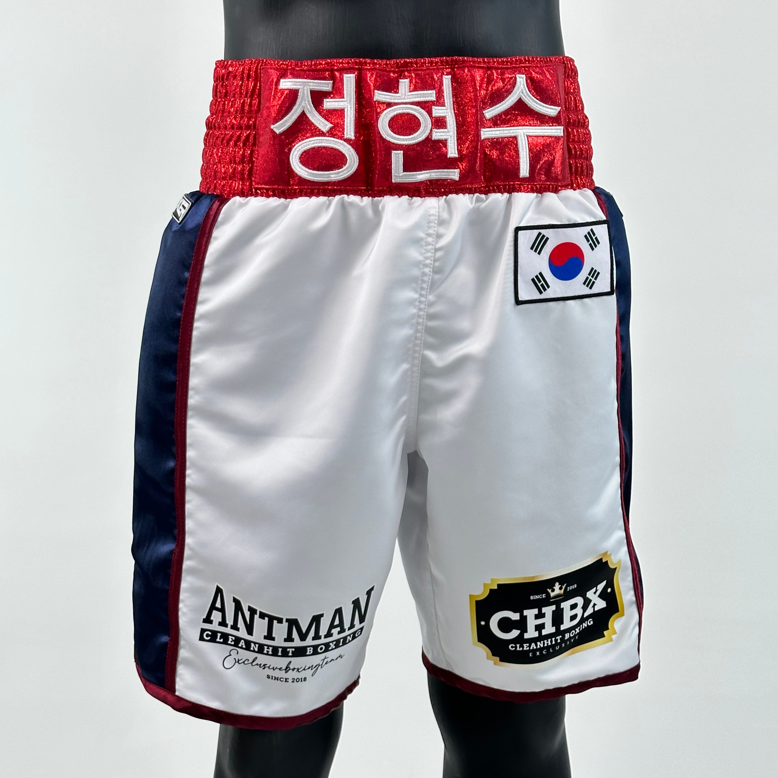 Side Stripe BX  현수 Custom Boxing Shorts & Trunks