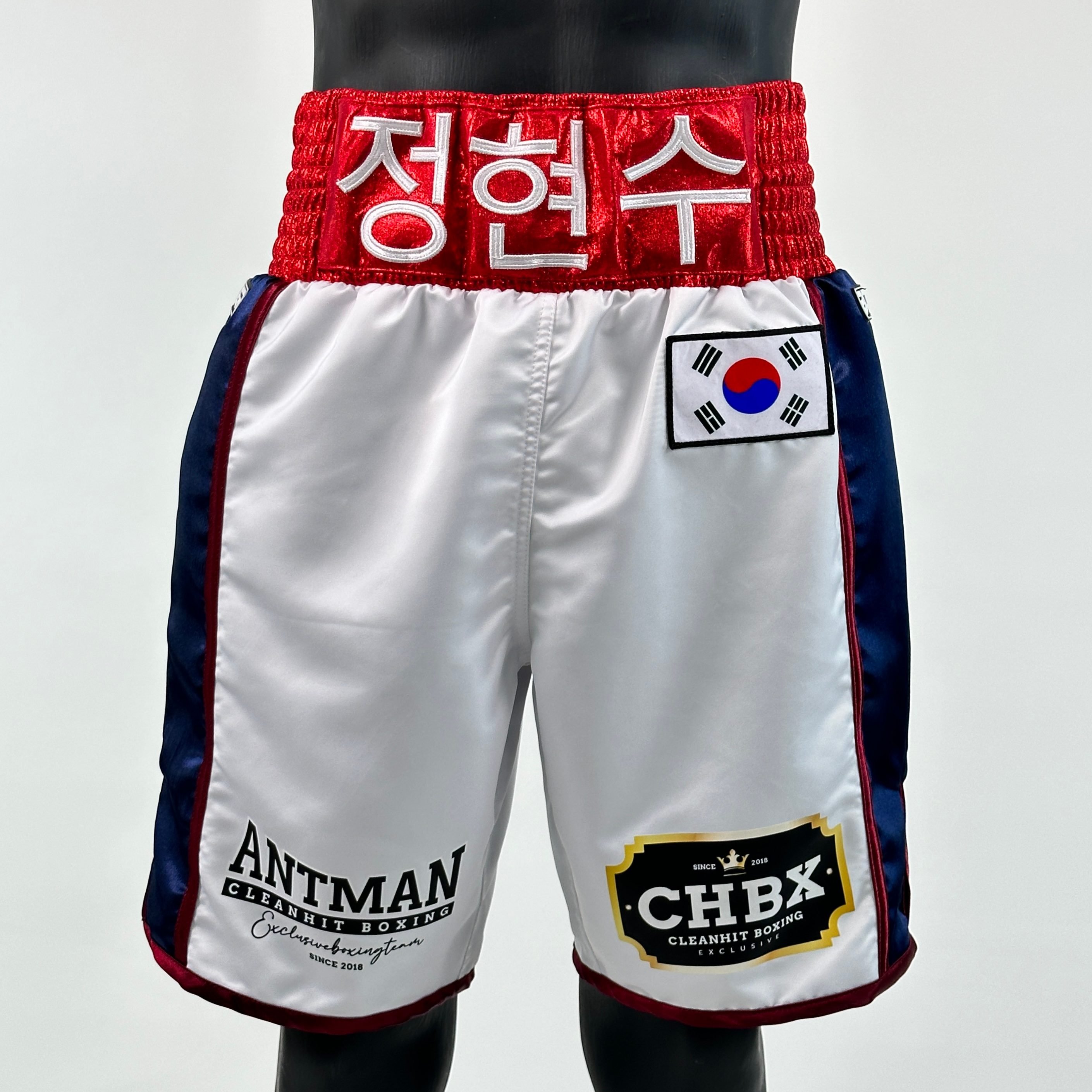 Side Stripe BX  현수 Custom Boxing Shorts & Trunks