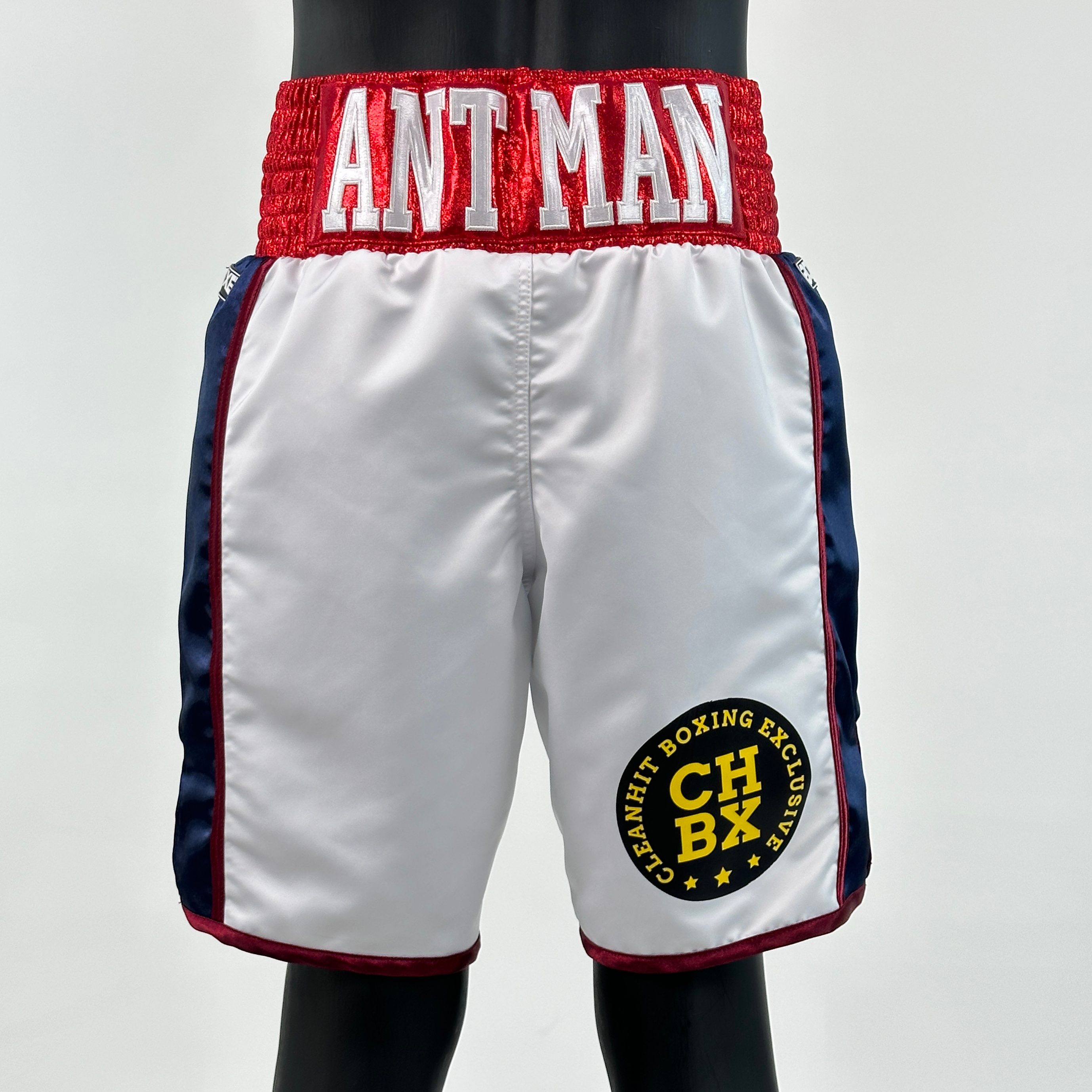 Side Stripe BX  현수 Custom Boxing Shorts & Trunks