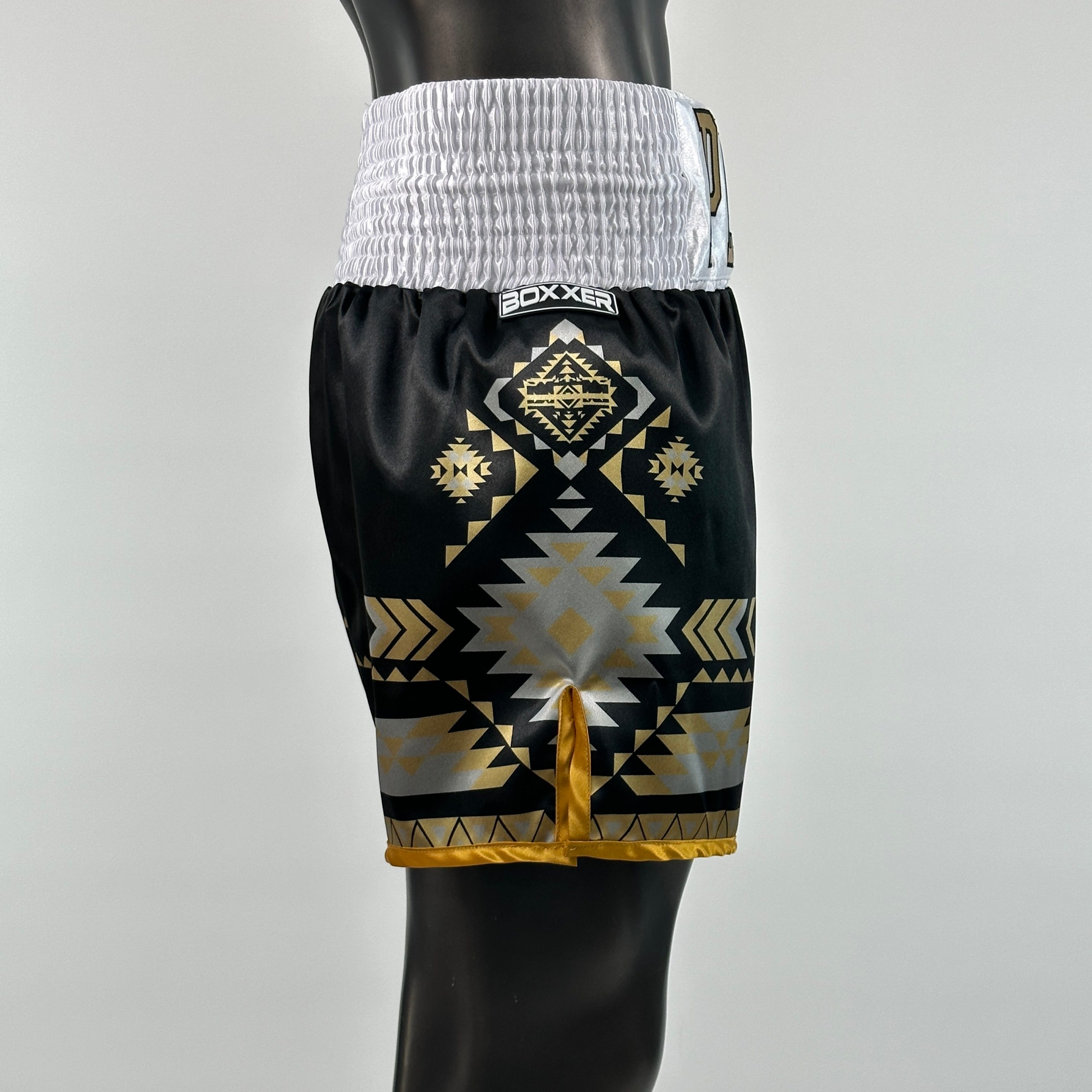 Aztec BX Lenin Custom Boxing Shorts & Trunks