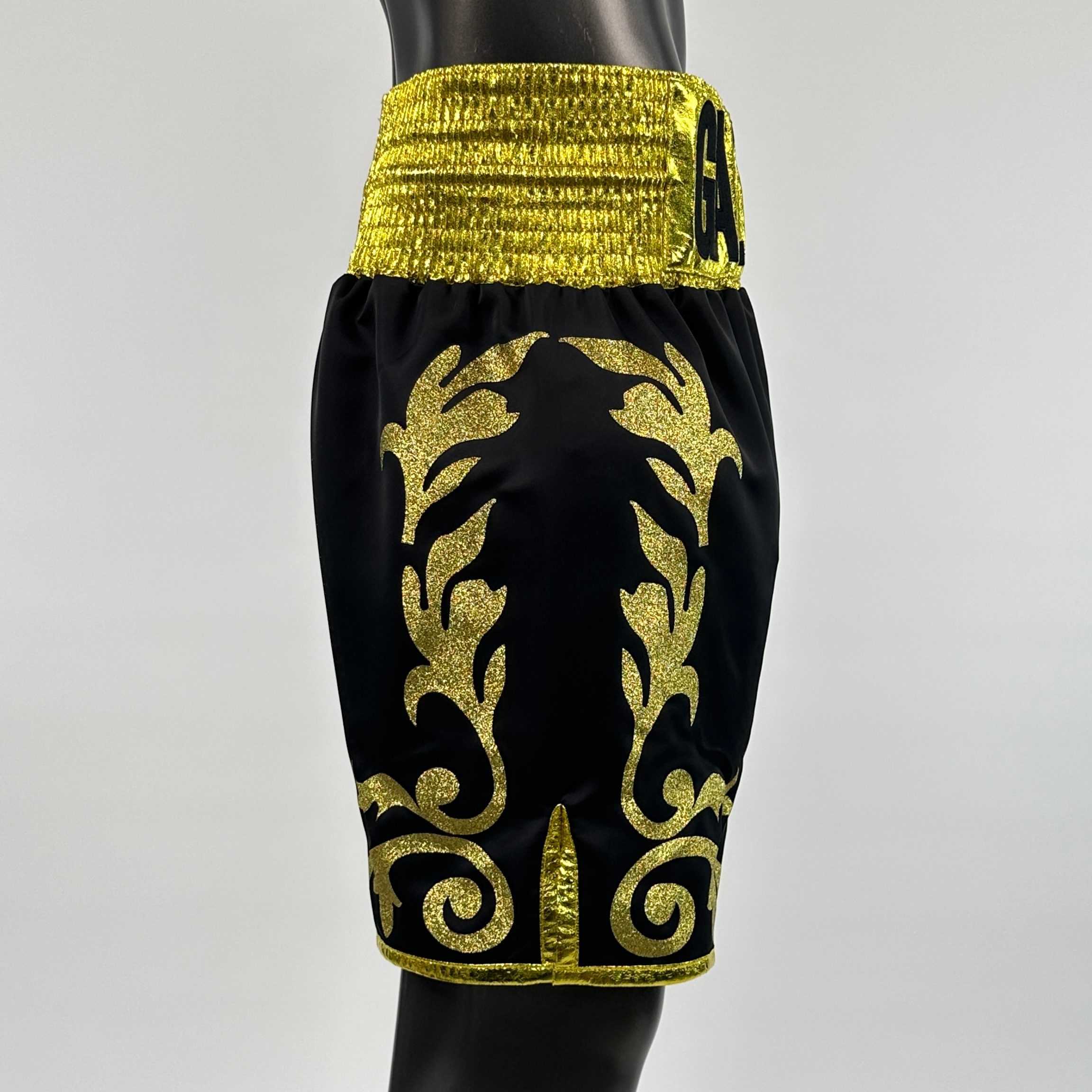 Regal Reign Jacob Custom Boxing Shorts & Trunks