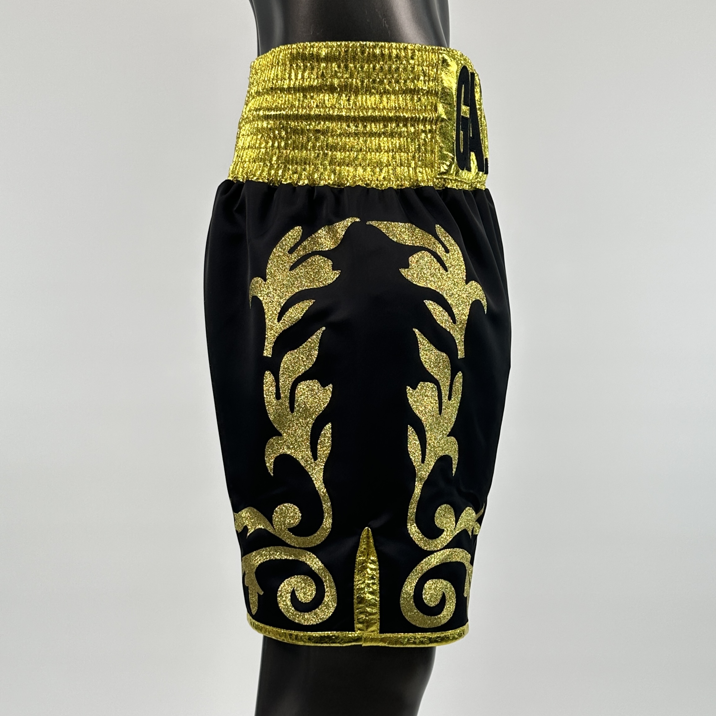 Regal Reign Jacob Custom Boxing Shorts & Trunks