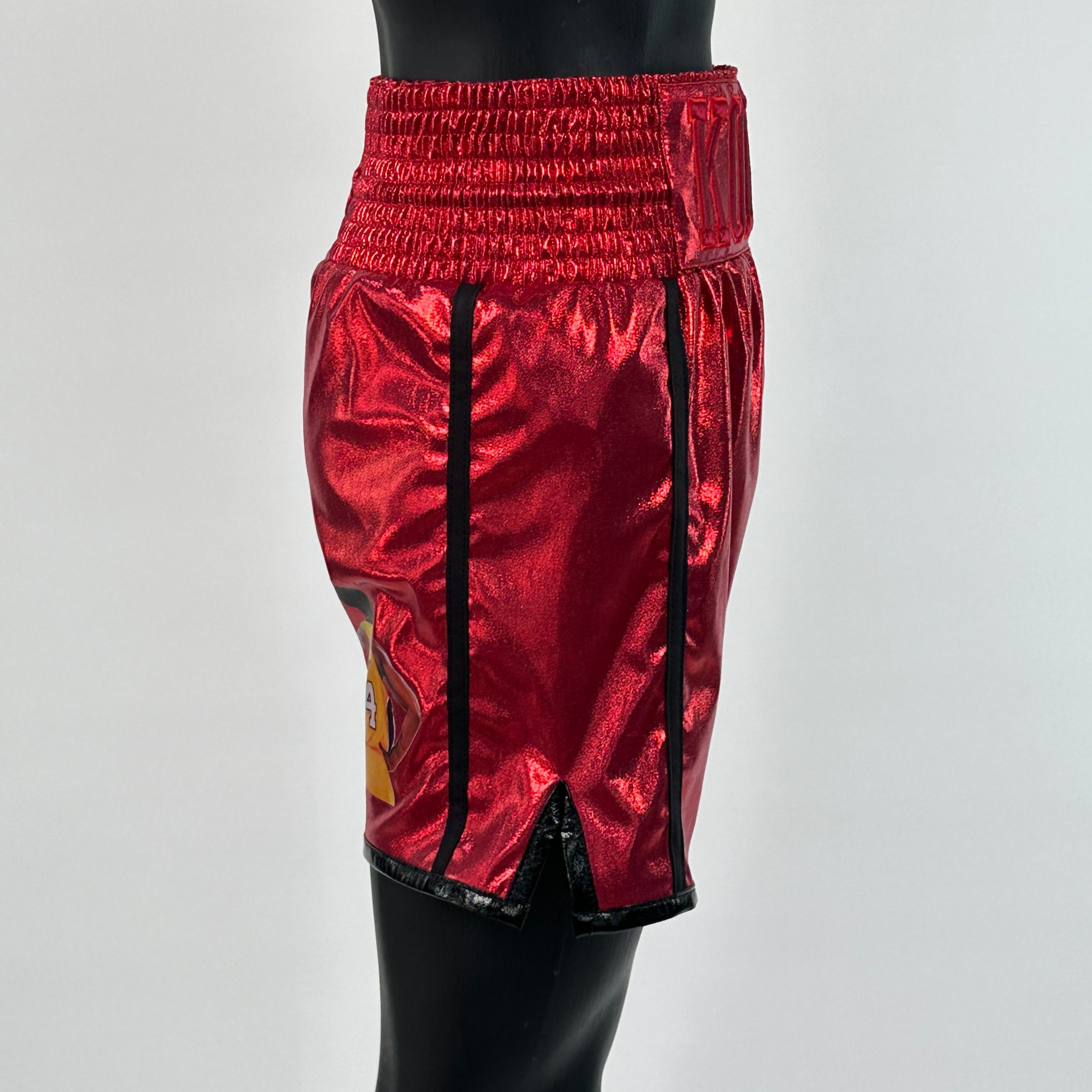 Side Stripe BX  Leo Custom Boxing Shorts & Trunks