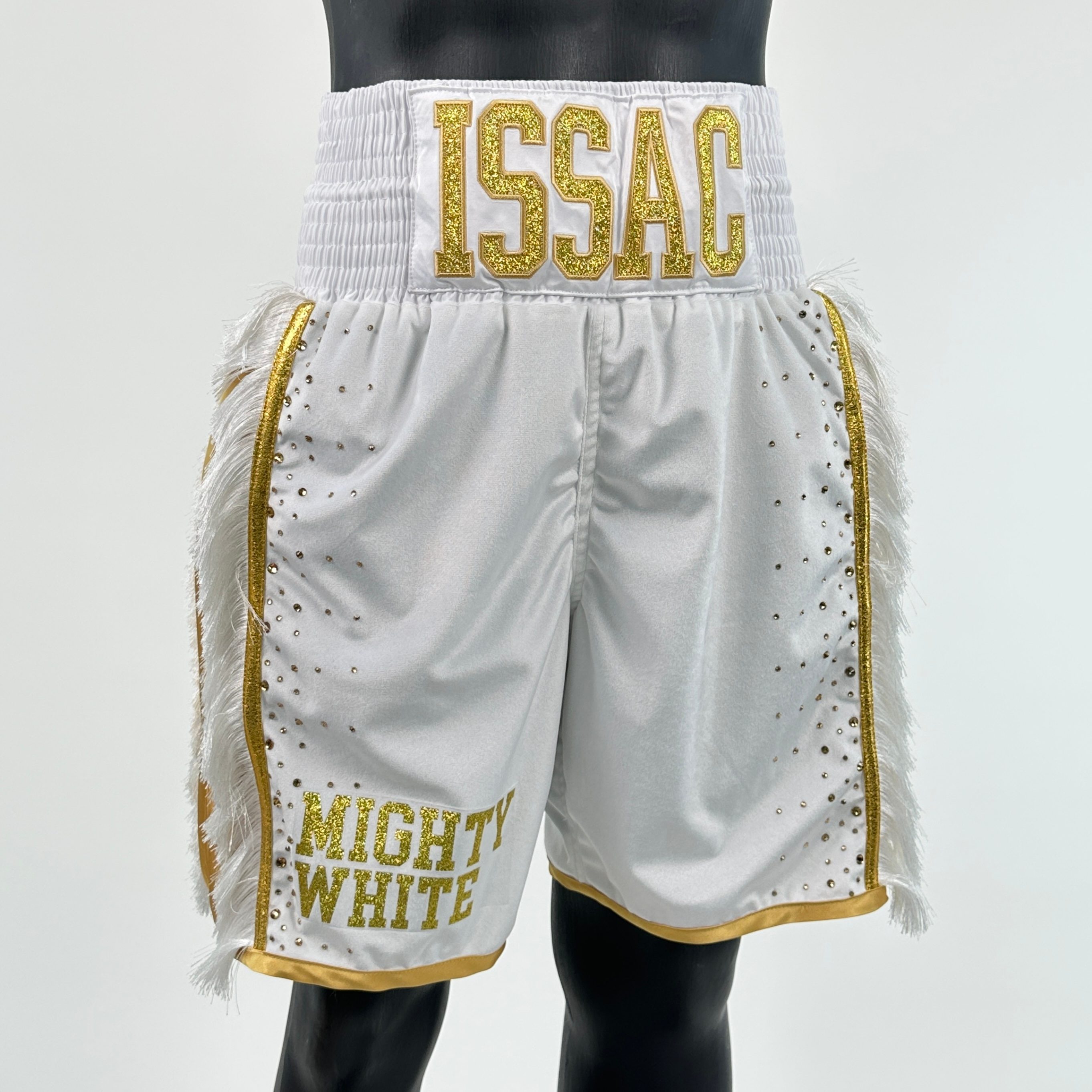 Side Stripe BX  Issac Custom Boxing Shorts & Trunks