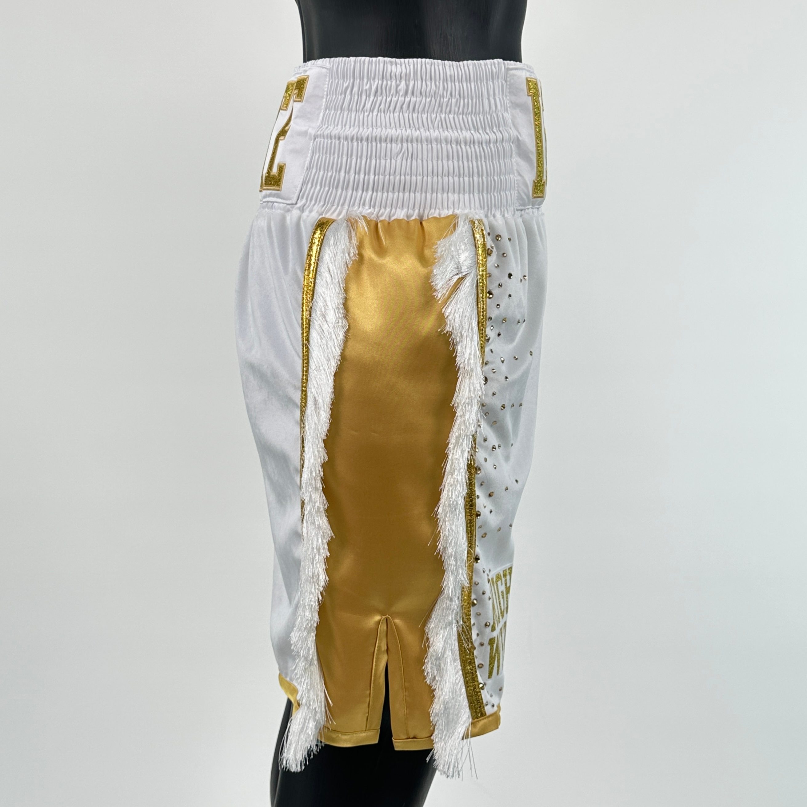 Side Stripe BX  Issac Custom Boxing Shorts & Trunks