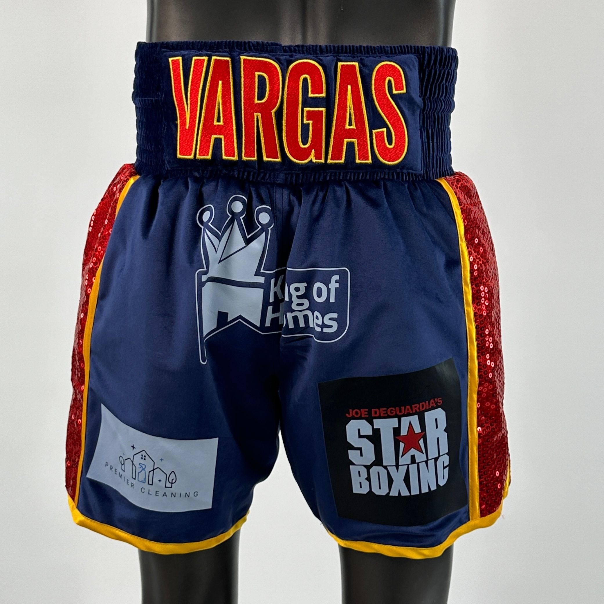 Side Stripe BX  Alex Custom Boxing Shorts & Trunks