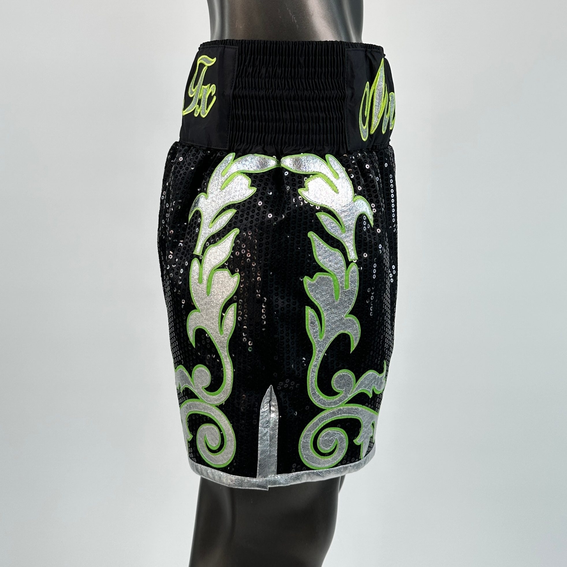 Regal Reign Diego Custom Boxing Shorts & Trunks