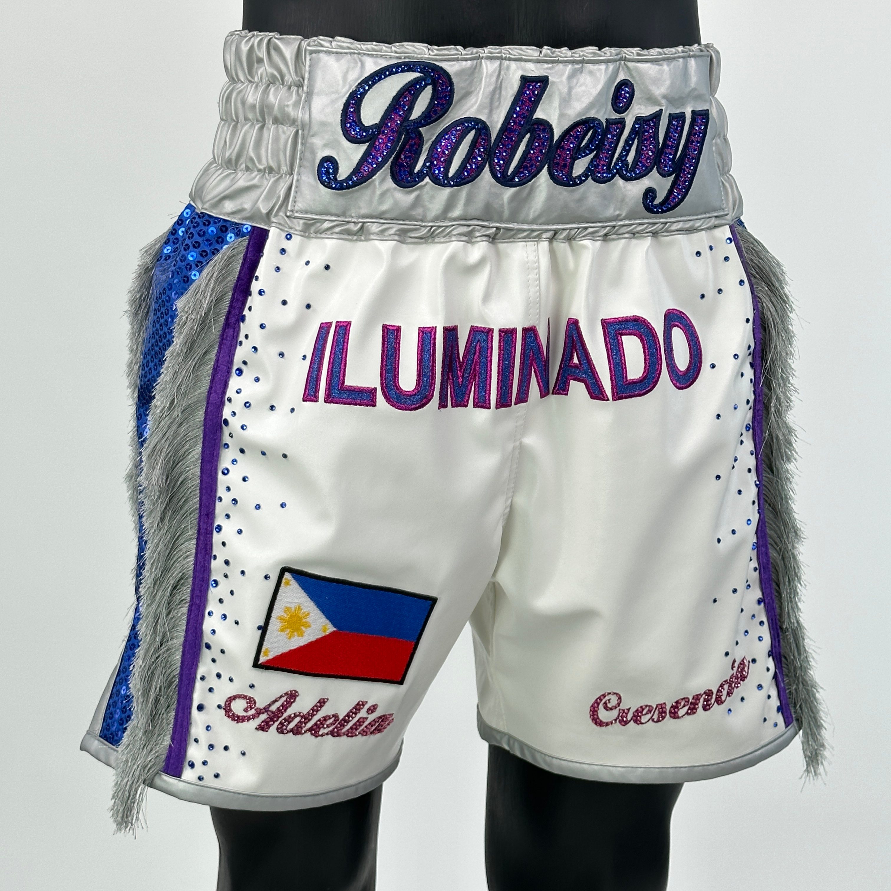 Side Stripe BX Old Casa Custom Boxing Shorts & Trunks