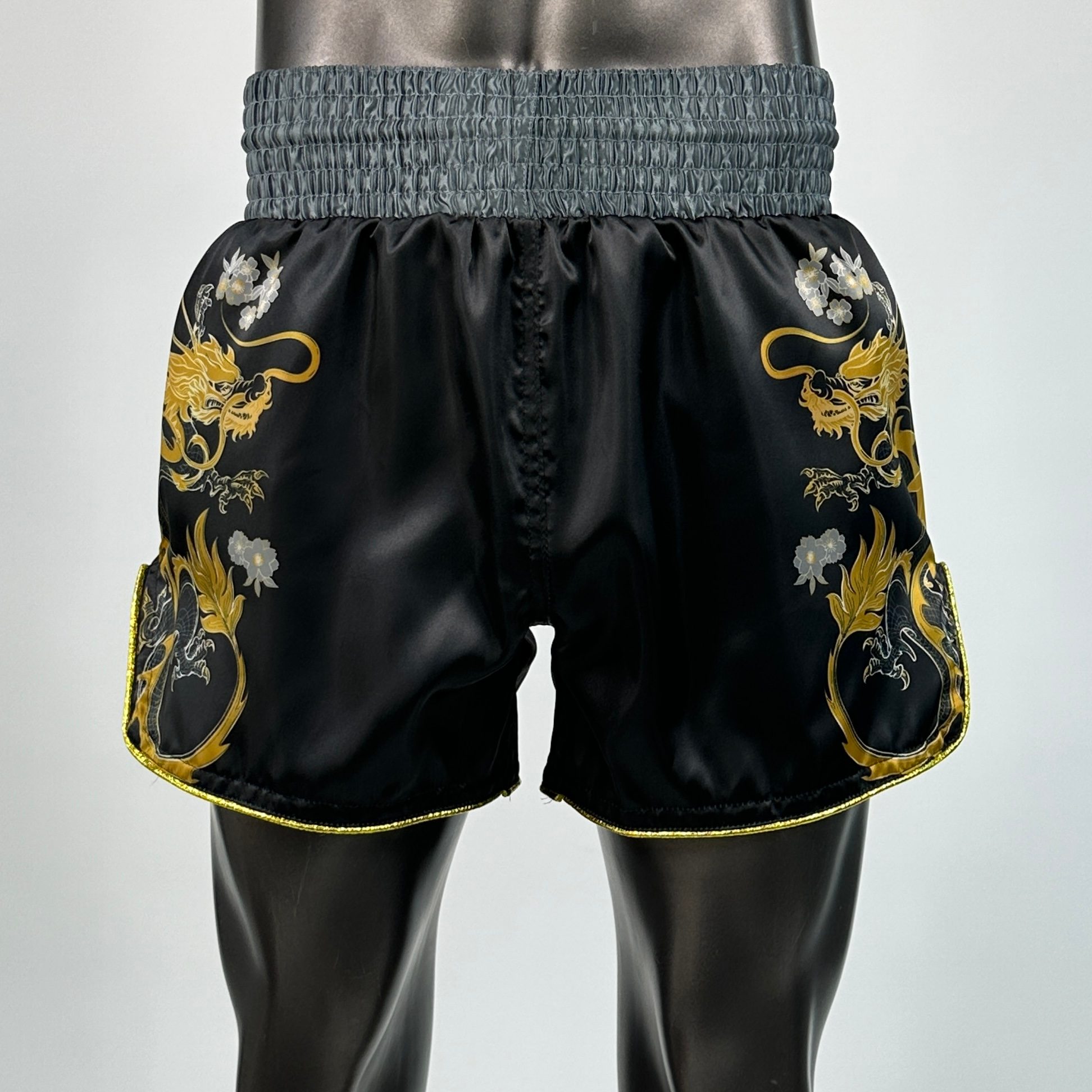 DRAGON MTS Ciarán Muay Thai Shorts