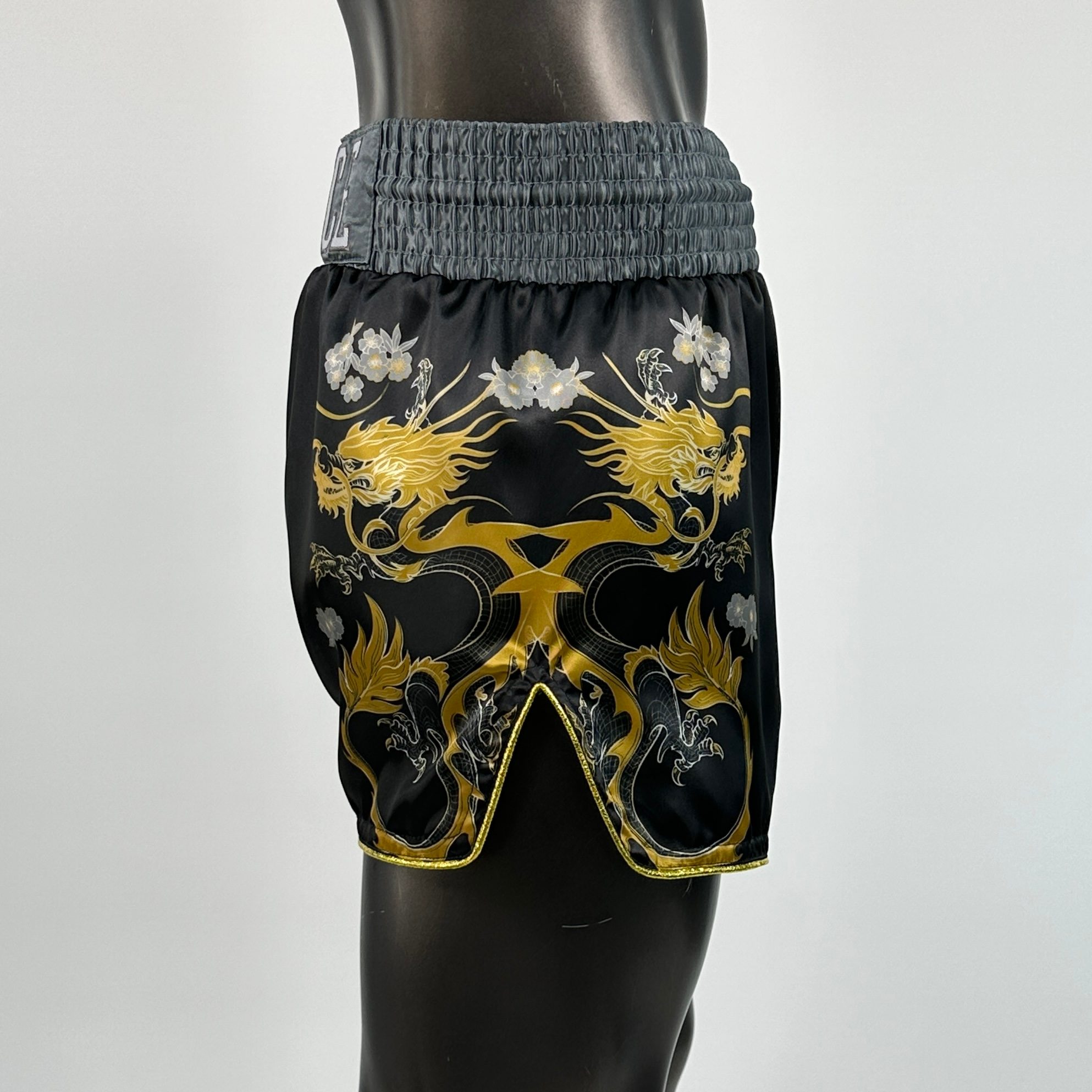 DRAGON MTS Ciarán Muay Thai Shorts