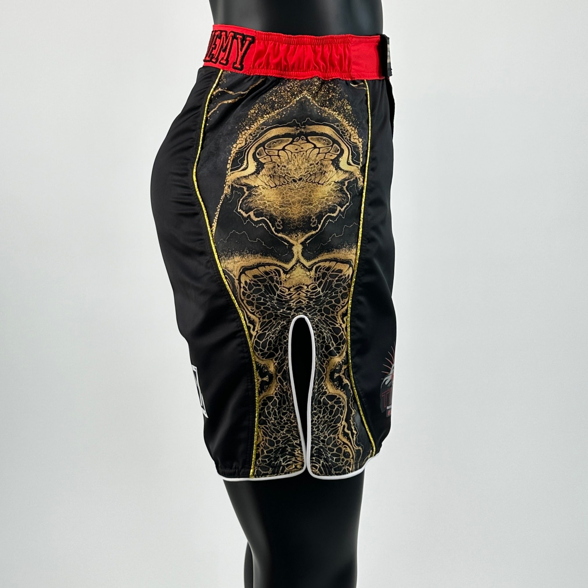 Carbon MMA Shai MMA Shorts