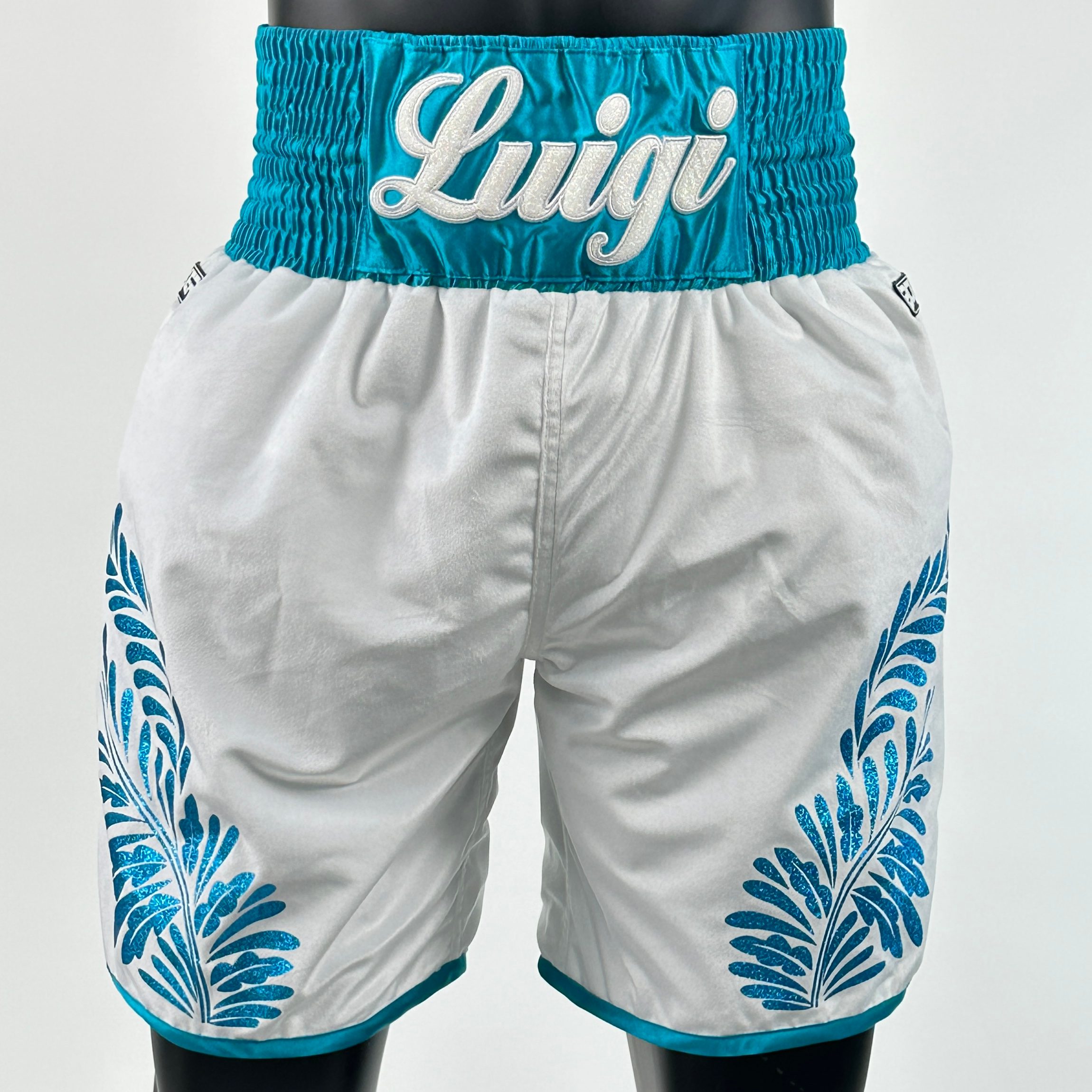 The General  Luigi Custom Boxing Shorts & Trunks