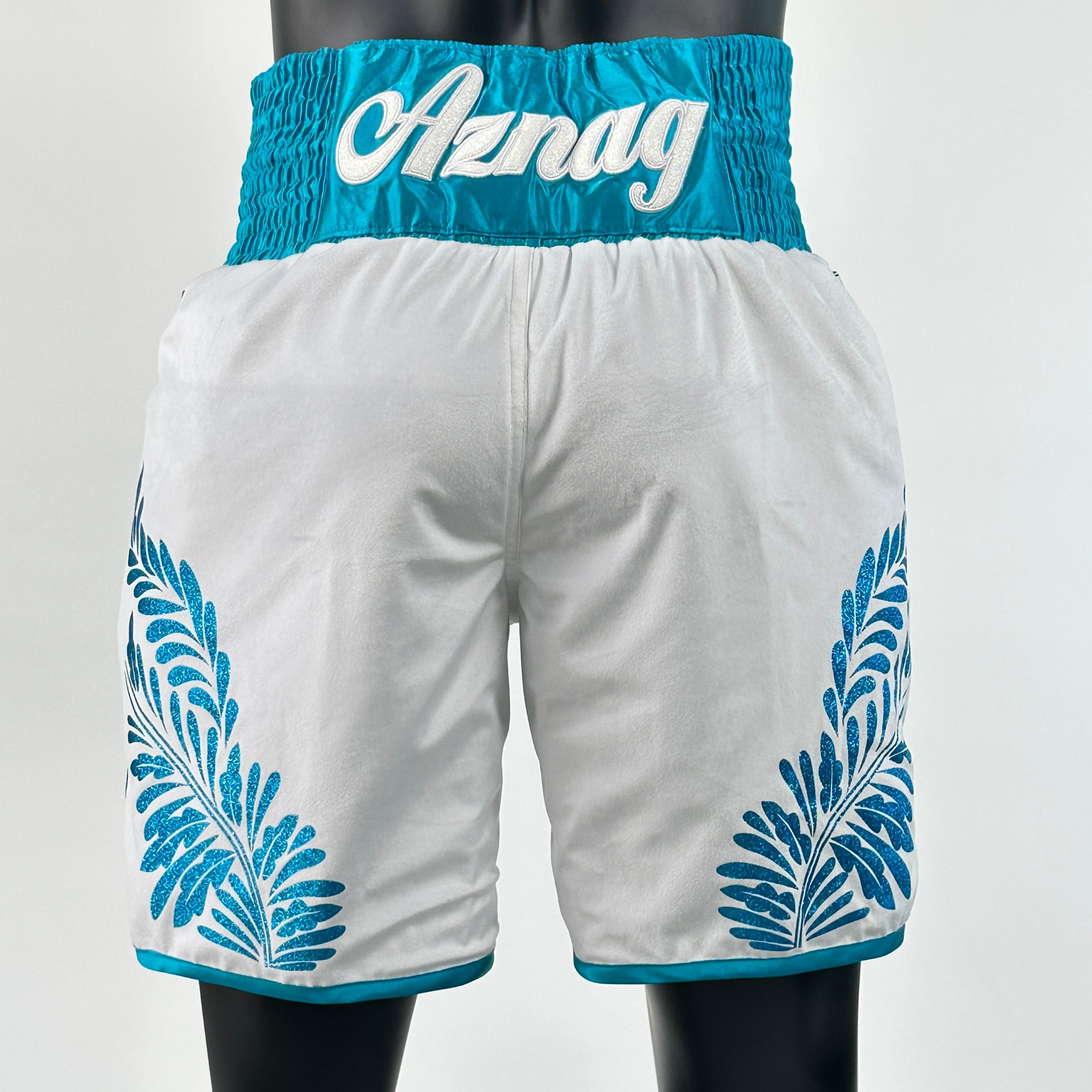 The General  Luigi Custom Boxing Shorts & Trunks