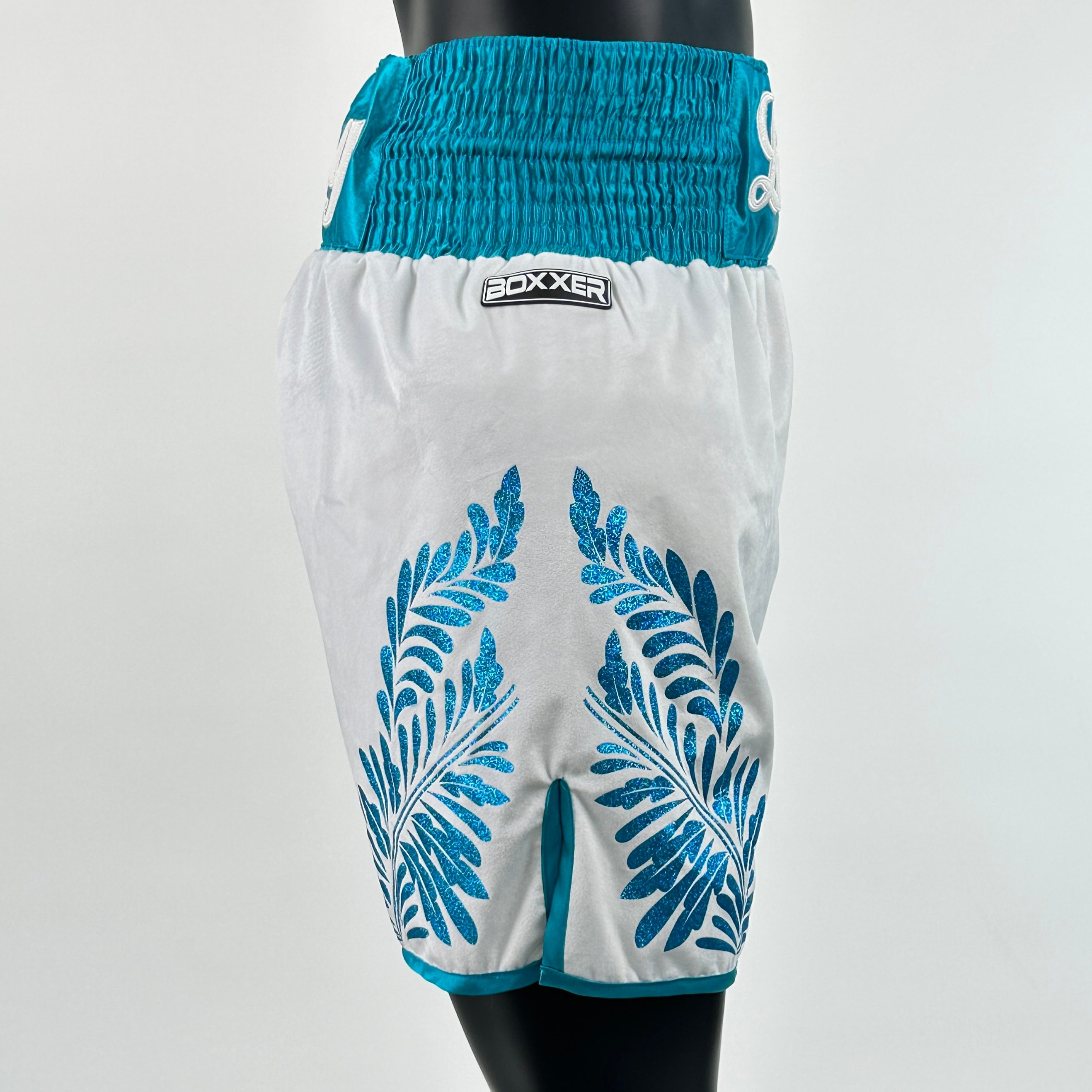 The General  Luigi Custom Boxing Shorts & Trunks