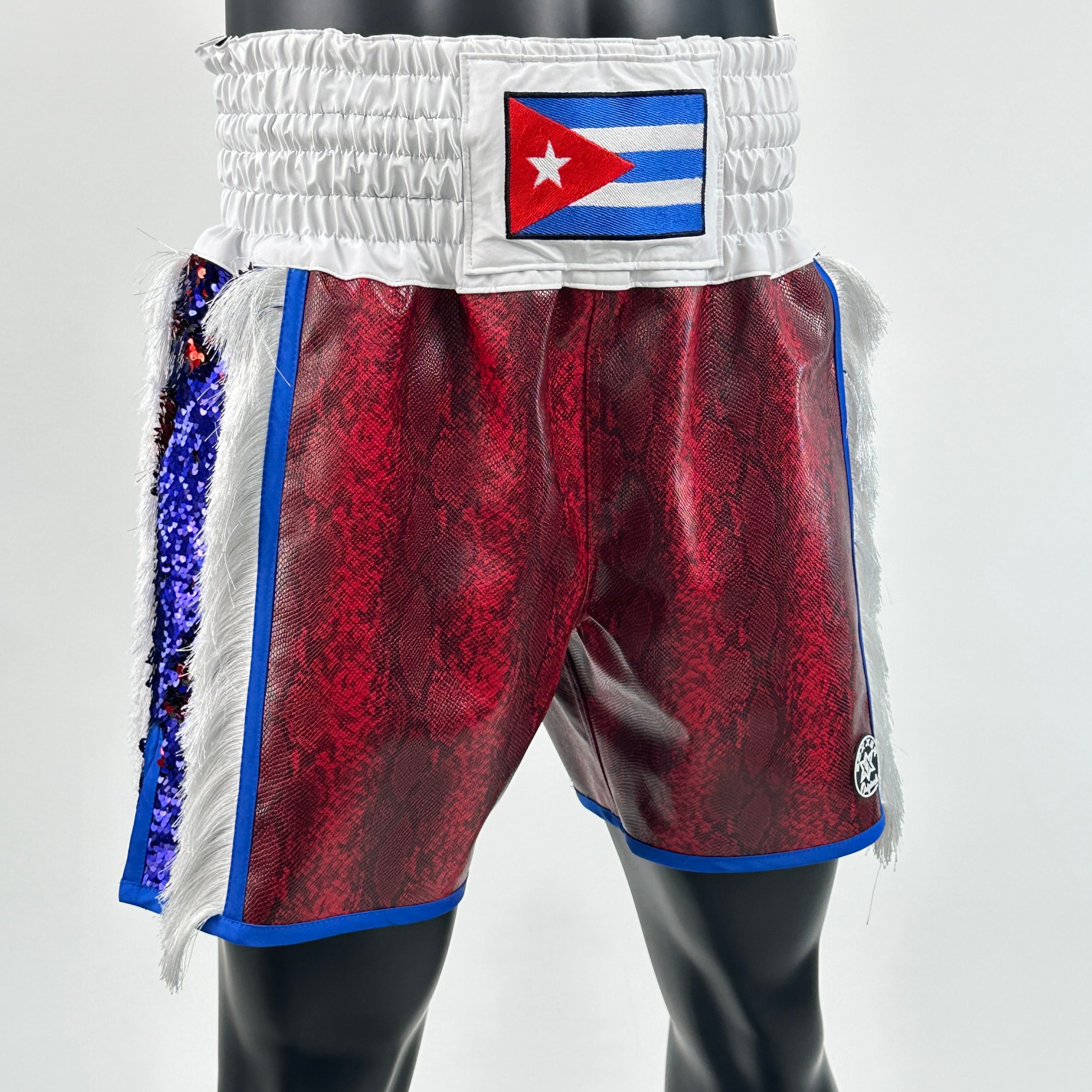 Side Stripe BX  Christopher Custom Boxing Shorts & Trunks