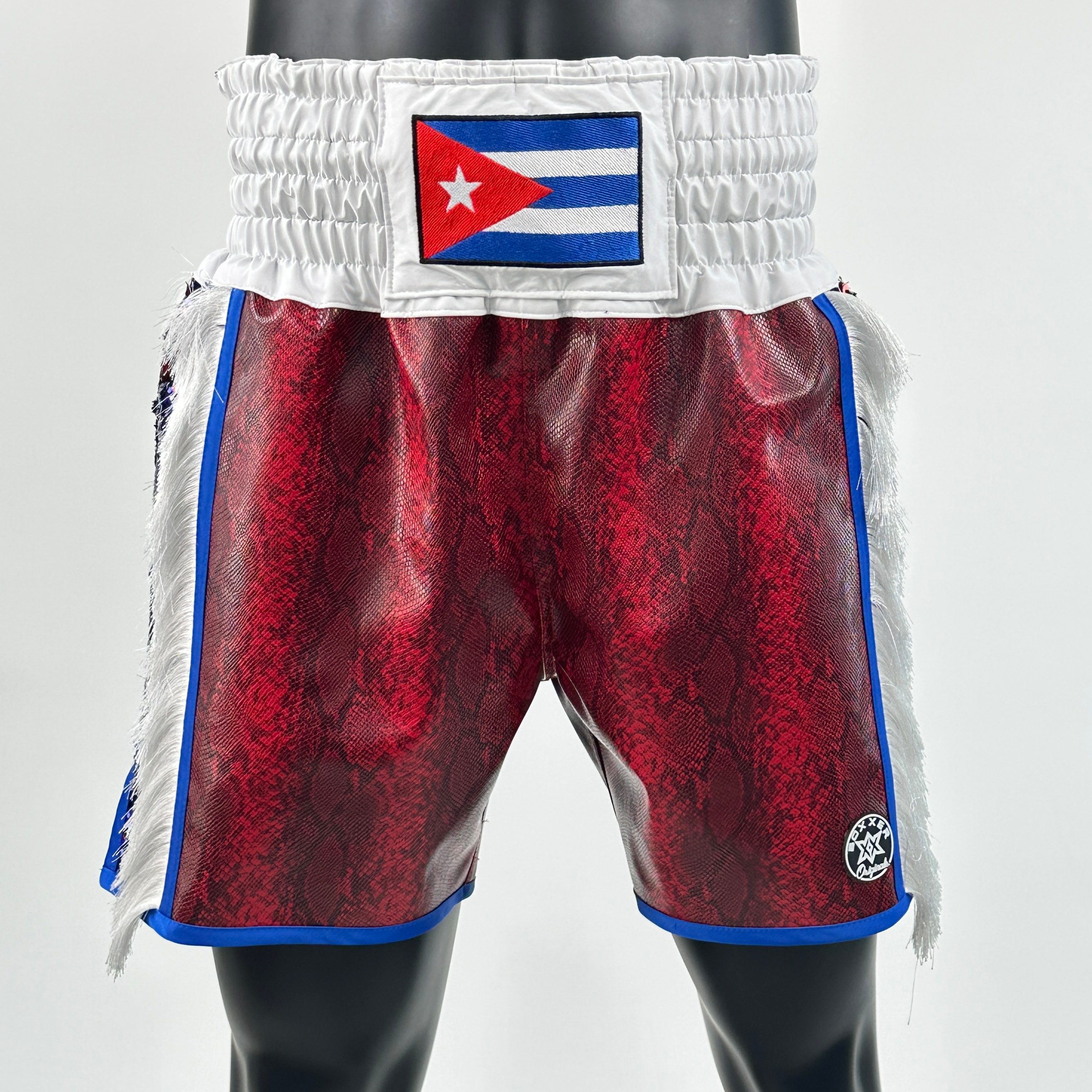 Side Stripe BX  Christopher Custom Boxing Shorts & Trunks