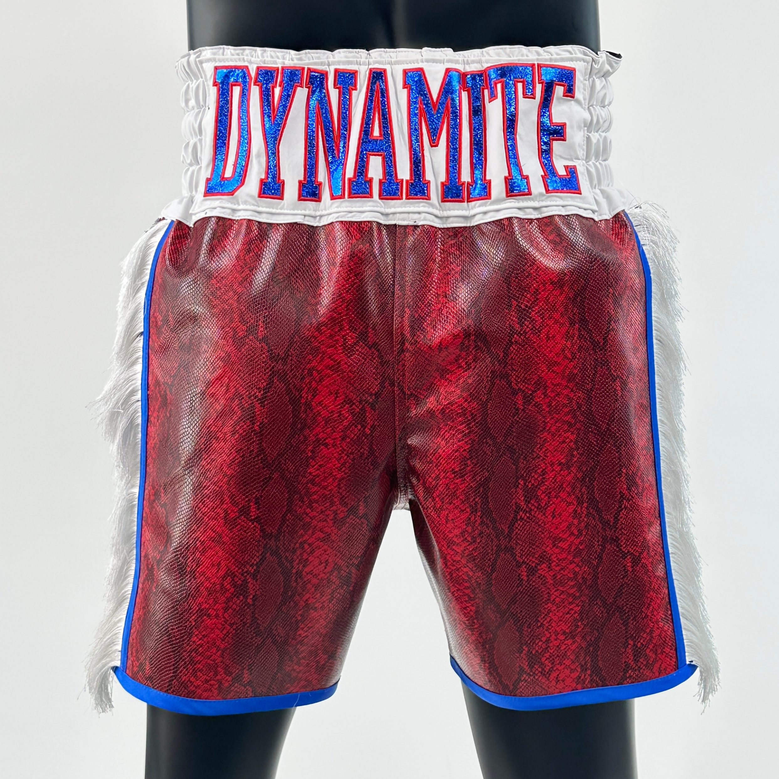 Side Stripe BX  Christopher Custom Boxing Shorts & Trunks