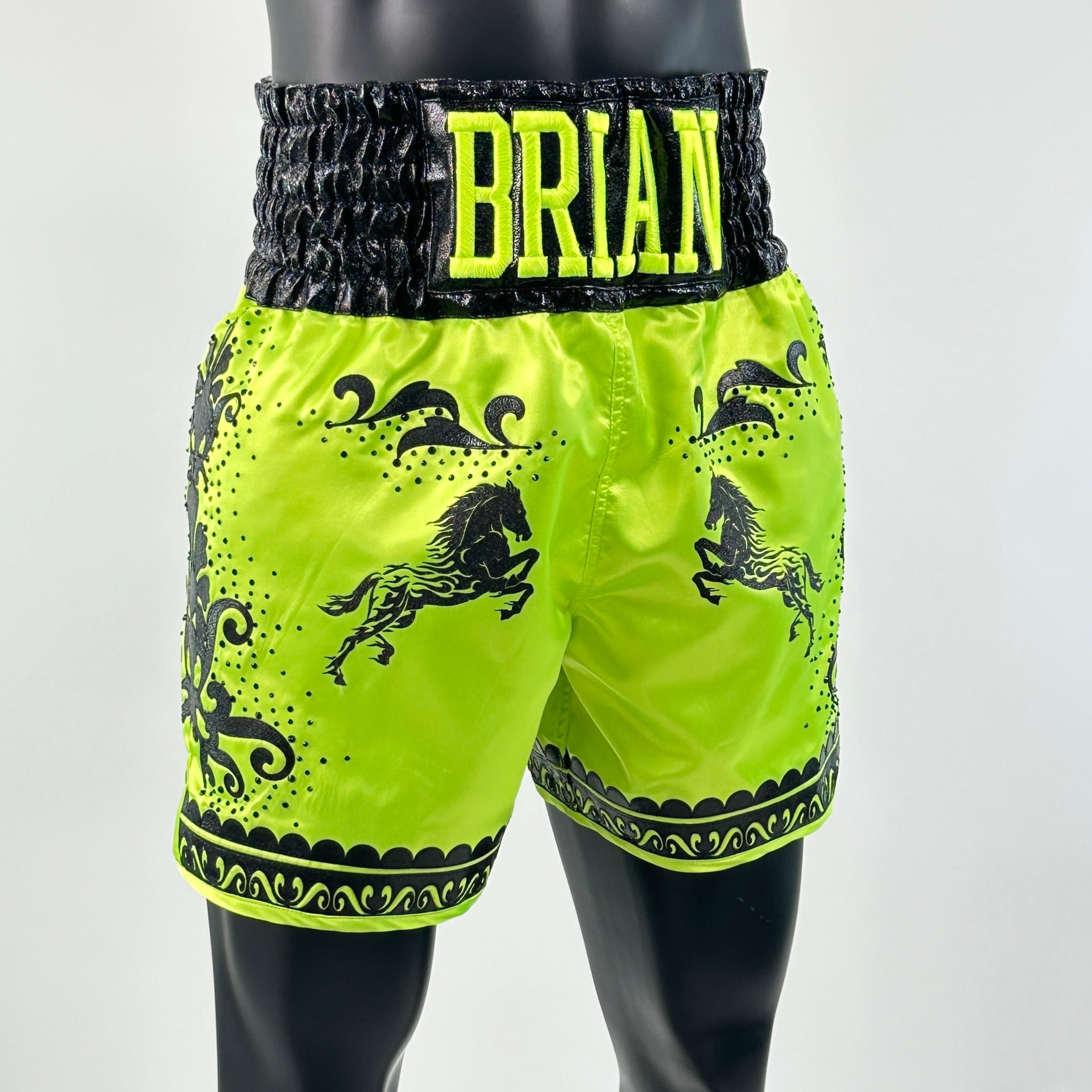 GGG BX (Boxxerworld Elite) Old Brian Custom Boxing Shorts & Trunks