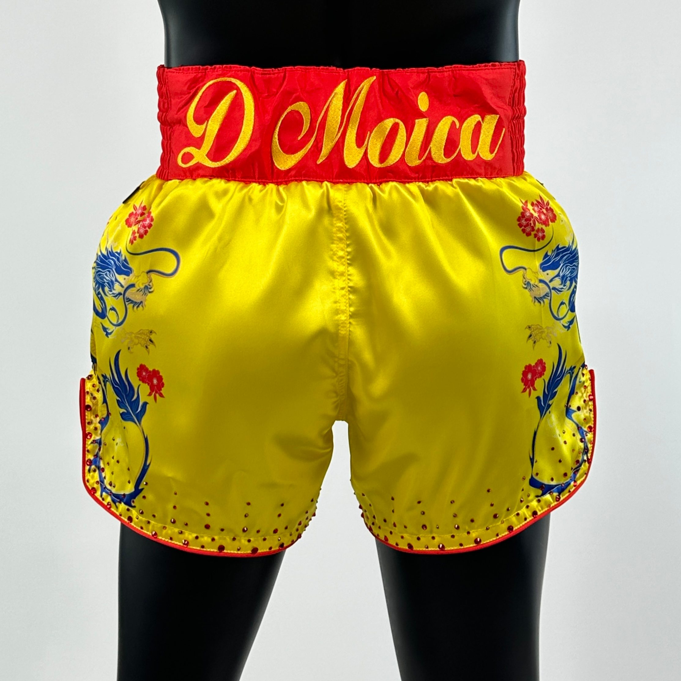 DRAGON MTS Dan Muay Thai Shorts