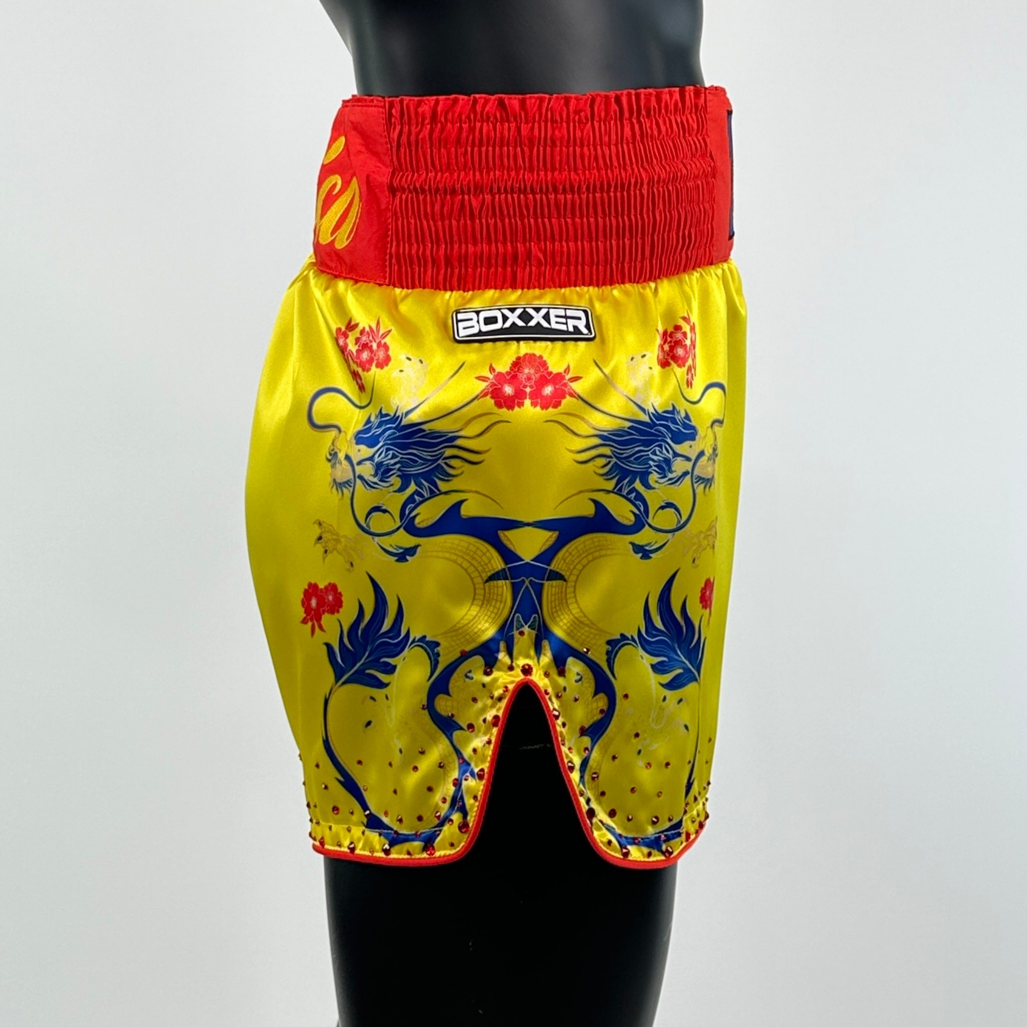 DRAGON MTS Dan Muay Thai Shorts