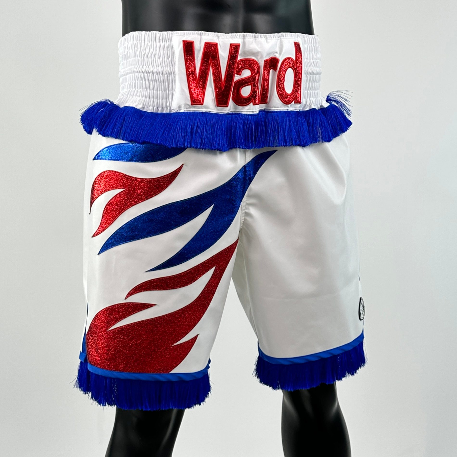 Roy Jones BX Tom Custom Boxing Shorts & Trunks