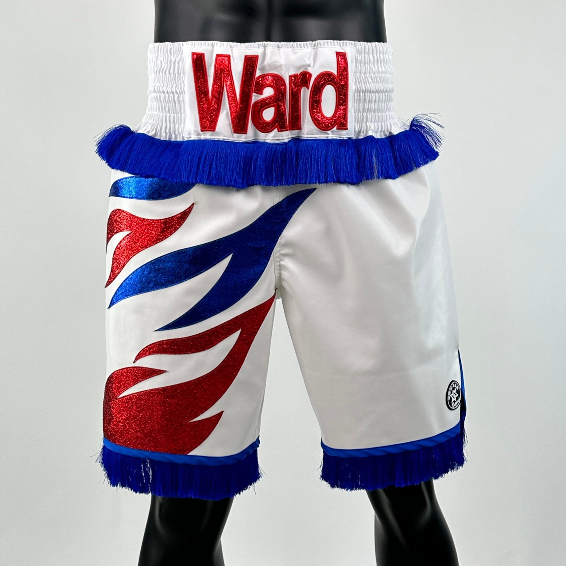 Roy Jones BX Tom Custom Boxing Shorts & Trunks