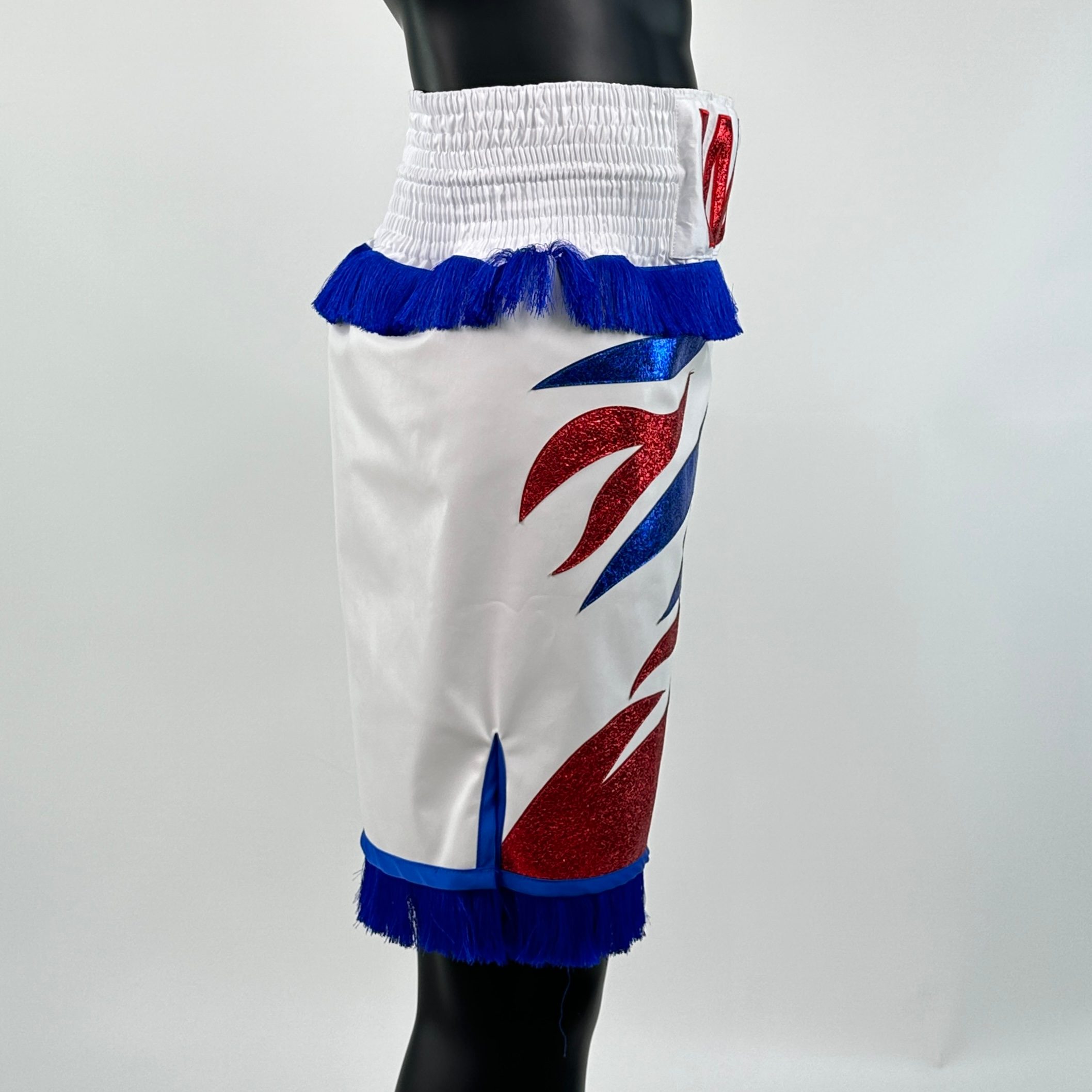 Roy Jones BX Tom Custom Boxing Shorts & Trunks