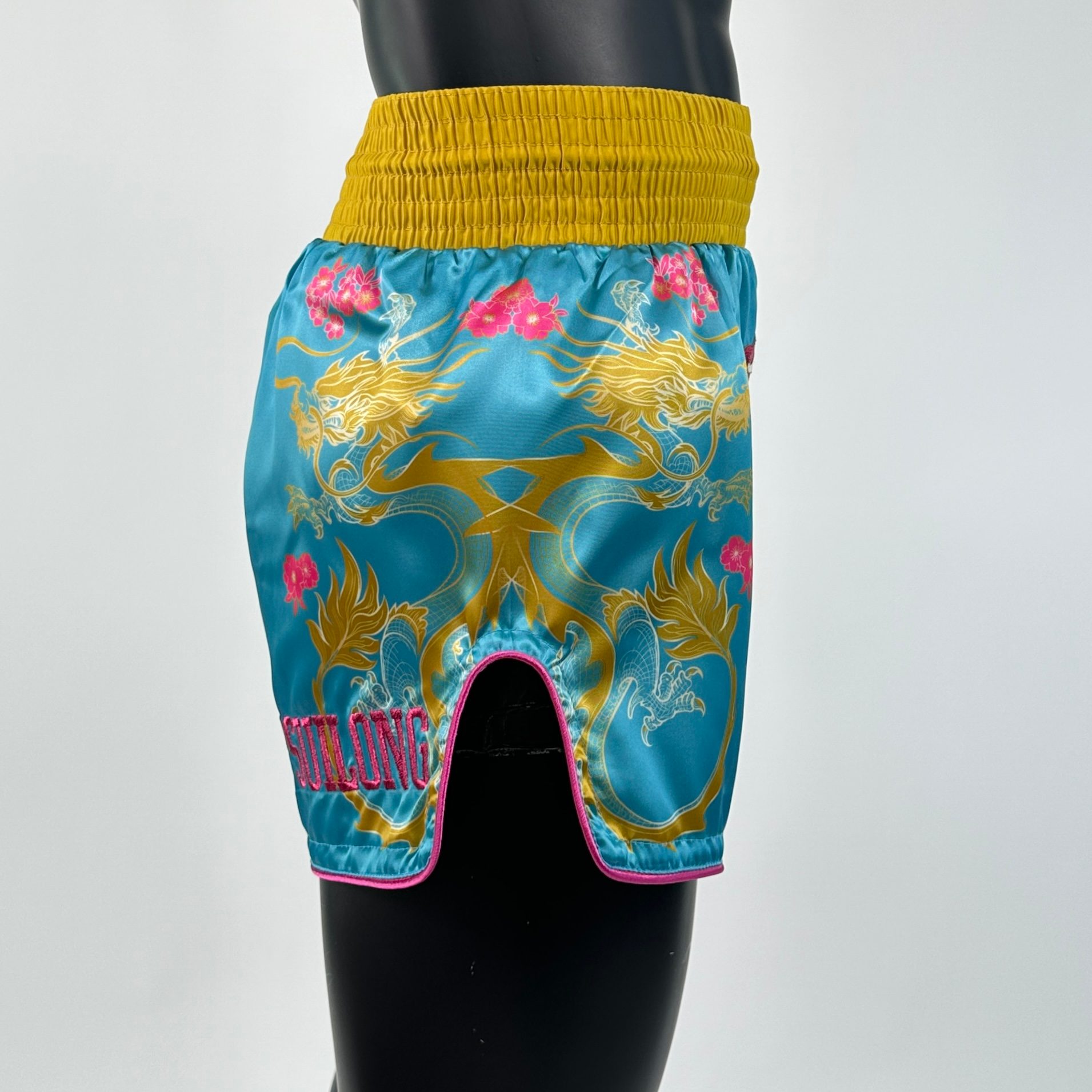 DRAGON MTS Jones Muay Thai Shorts