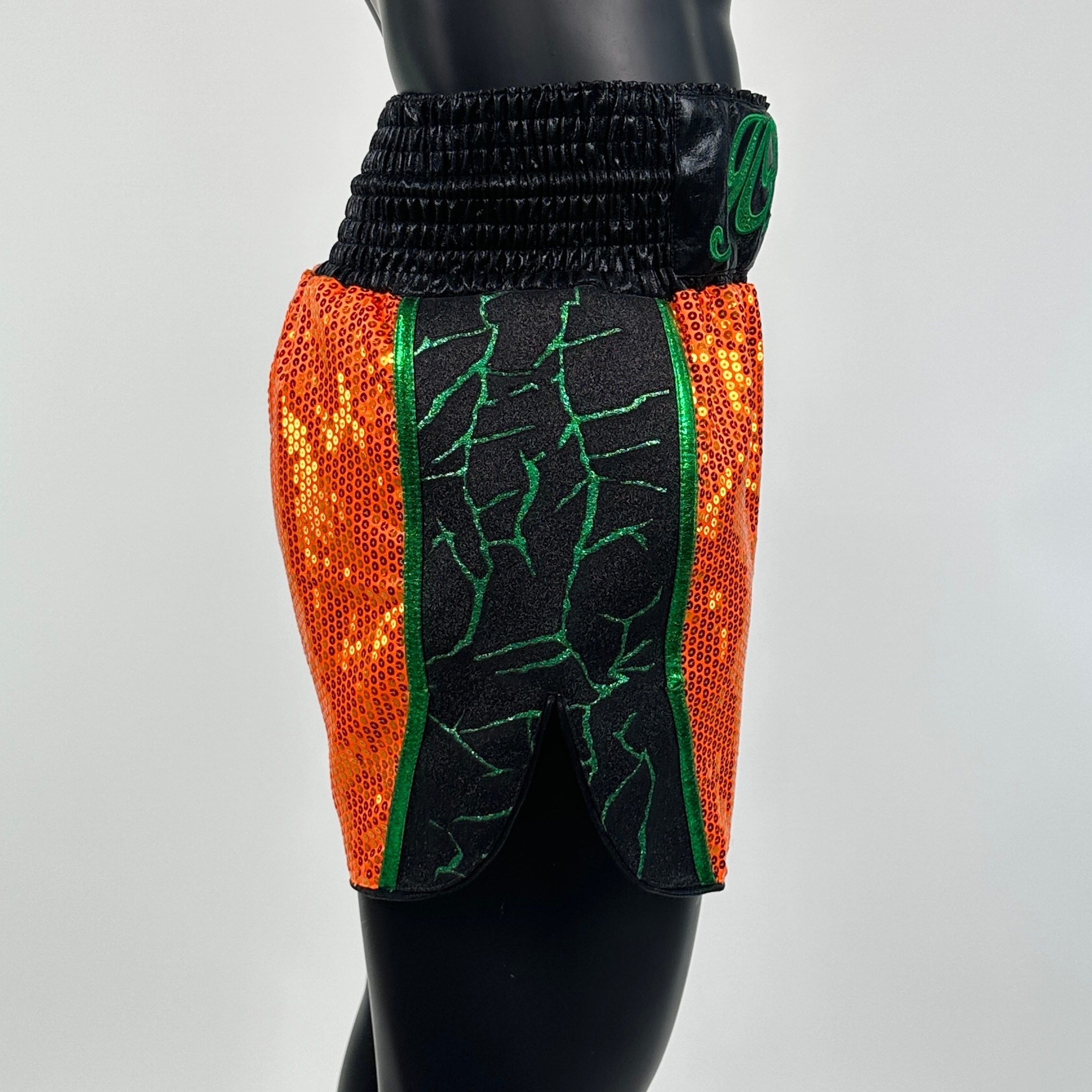 Thor MTS jordan Muay Thai Shorts