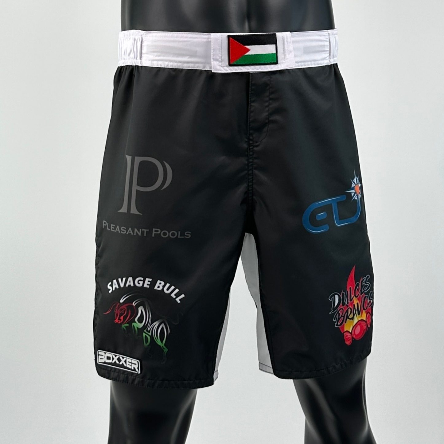 Classic MMA shorts Loai MMA Shorts
