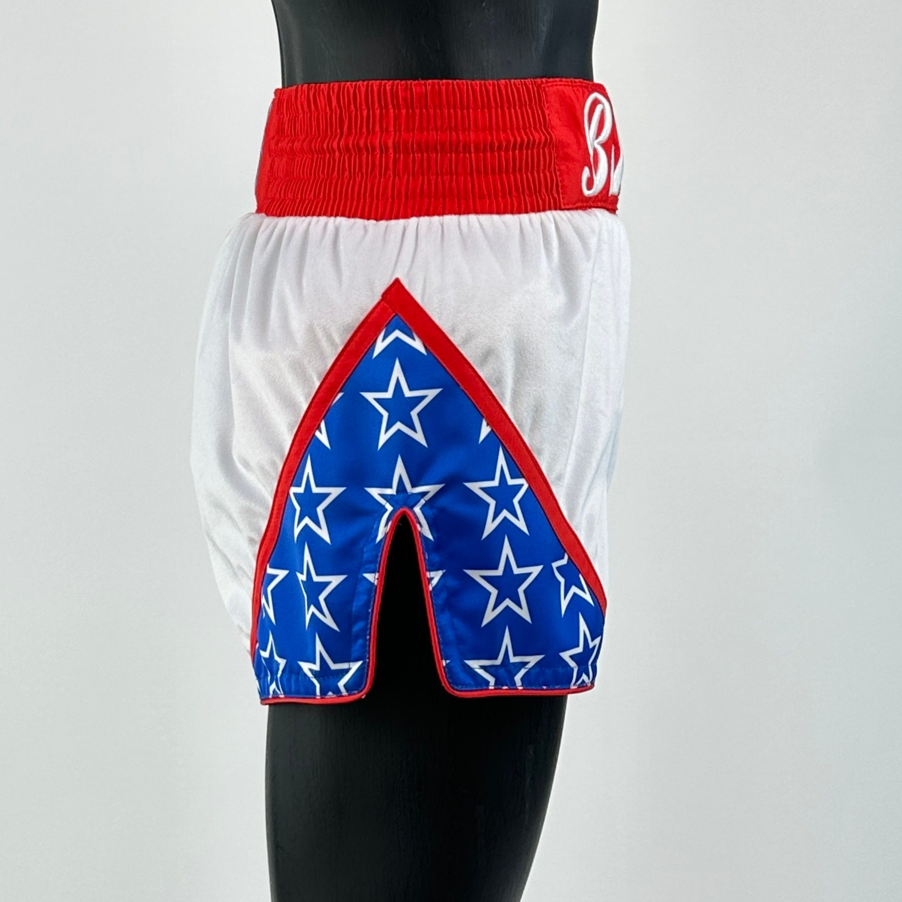 STAR QUALITY MTS Austin Muay Thai Shorts
