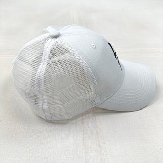Truckers Cap Lewis Caps