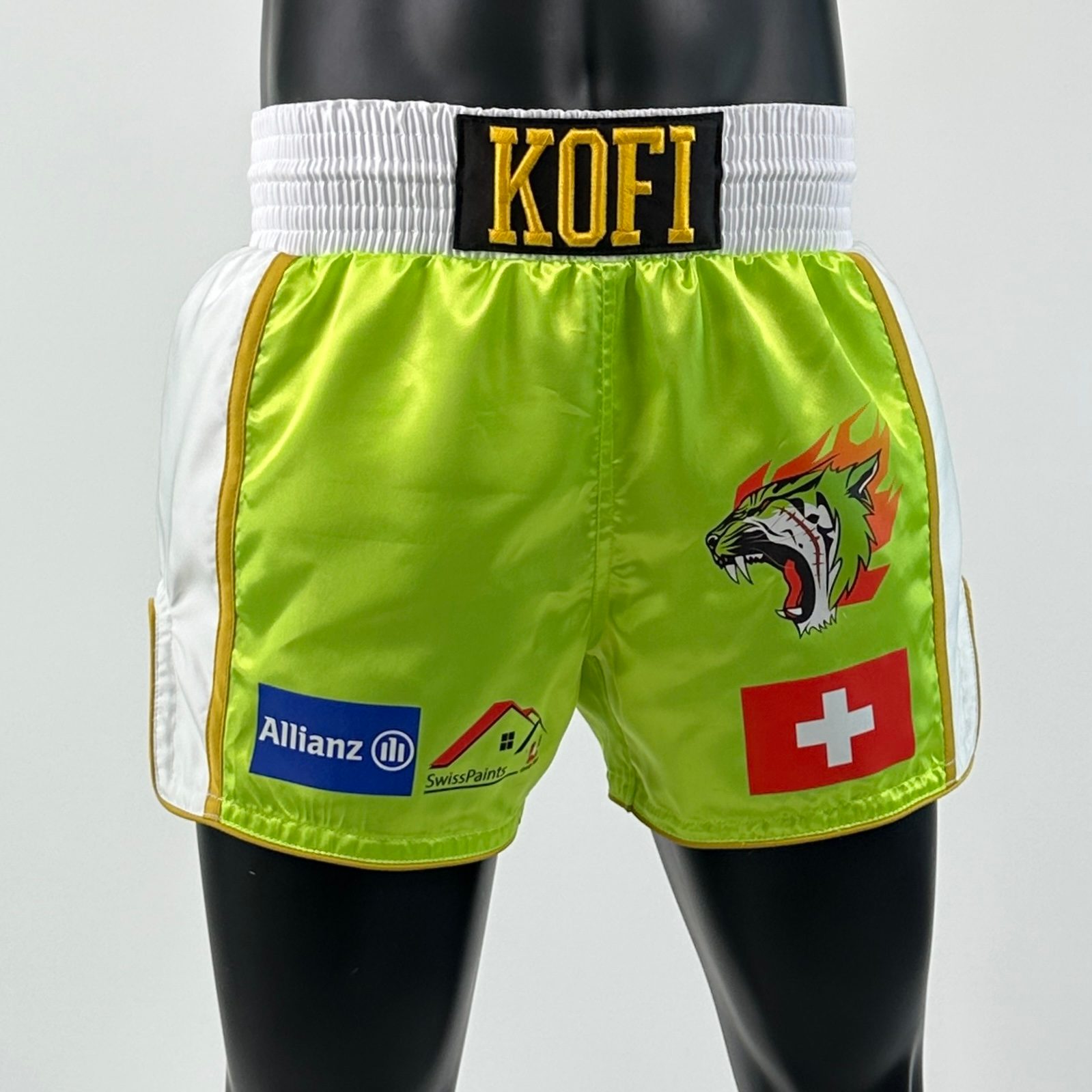 Side Stripe MTS Old Paolo Muay Thai Shorts