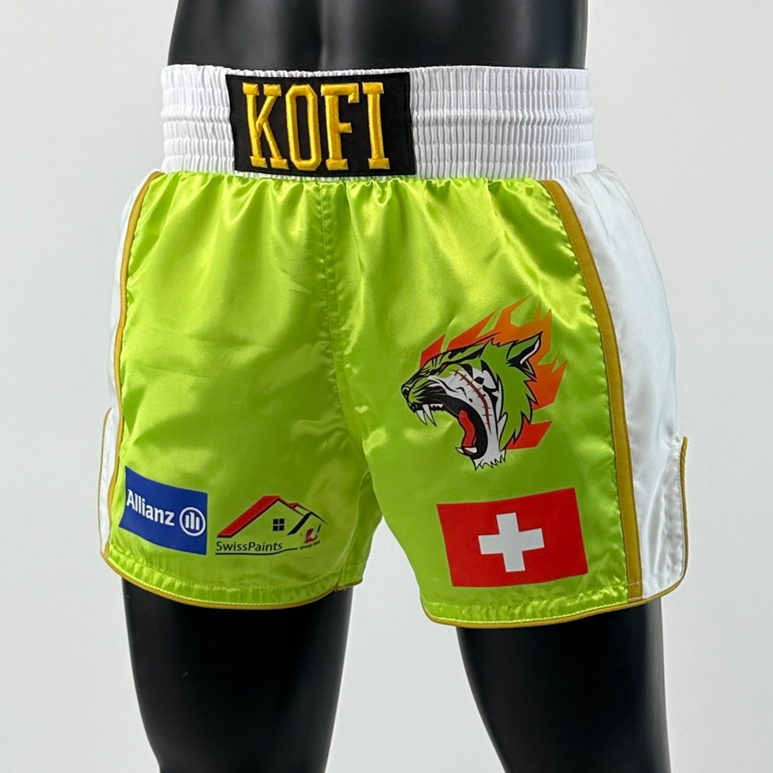 Side Stripe MTS Paolo Muay Thai Shorts
