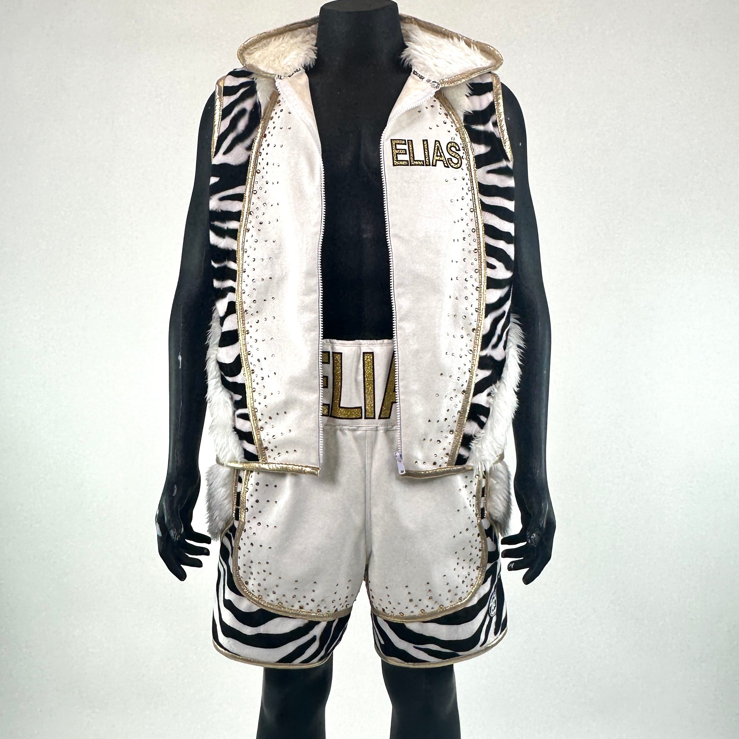 Fury BX  Elias 136998 Custom Boxing Shorts & Trunks