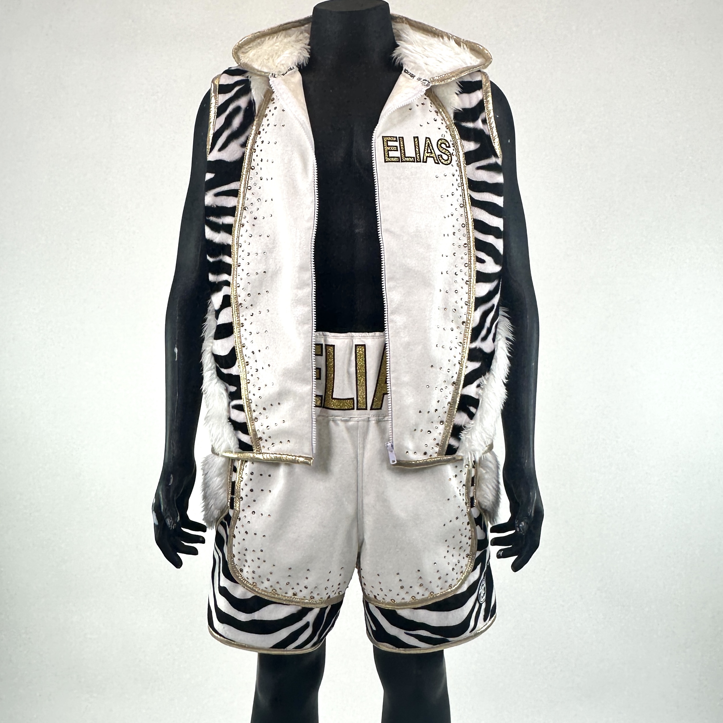 Fury BX Elias 136998 Custom Boxing Shorts & Trunks