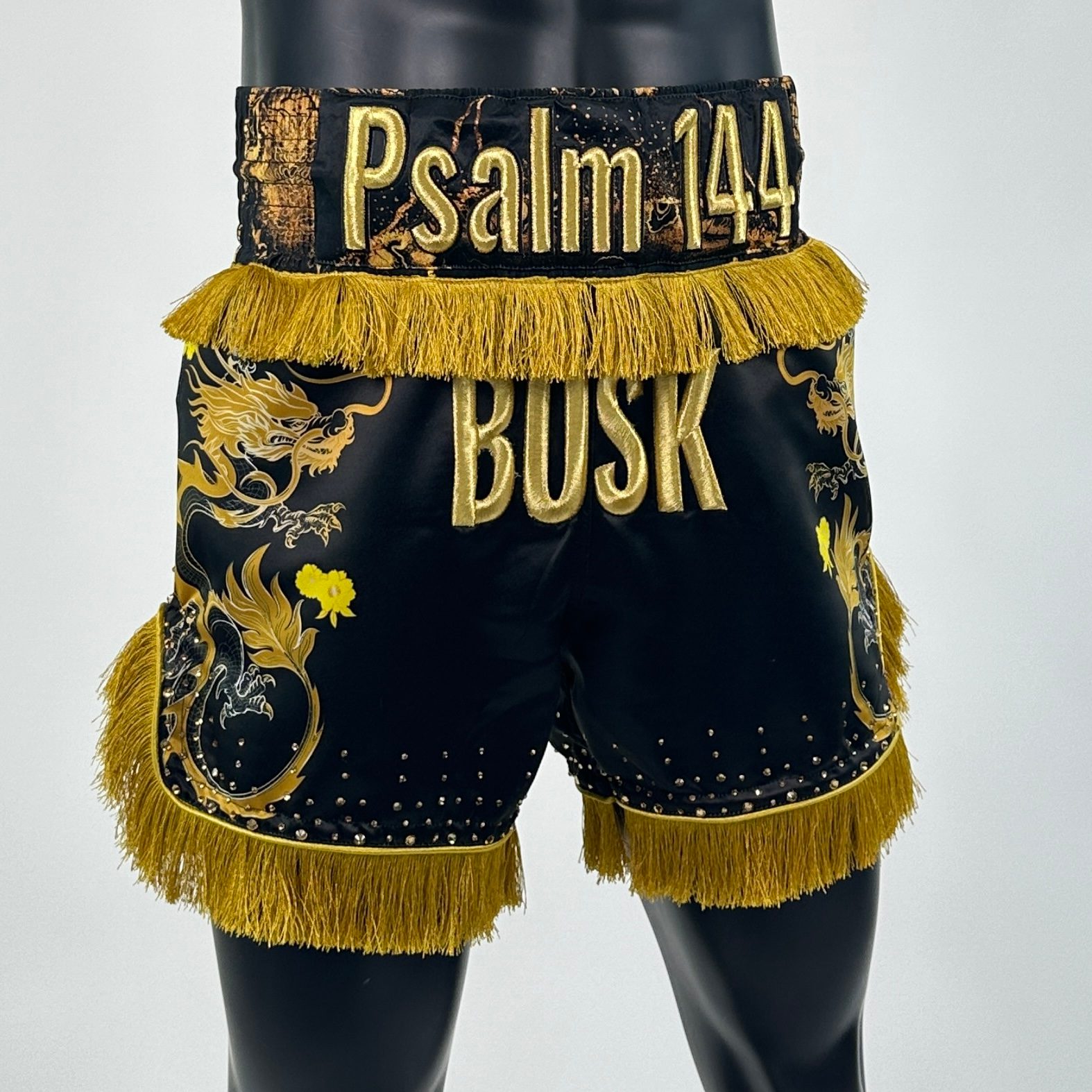 DRAGON MTS Brodie 136850 Muay Thai Shorts