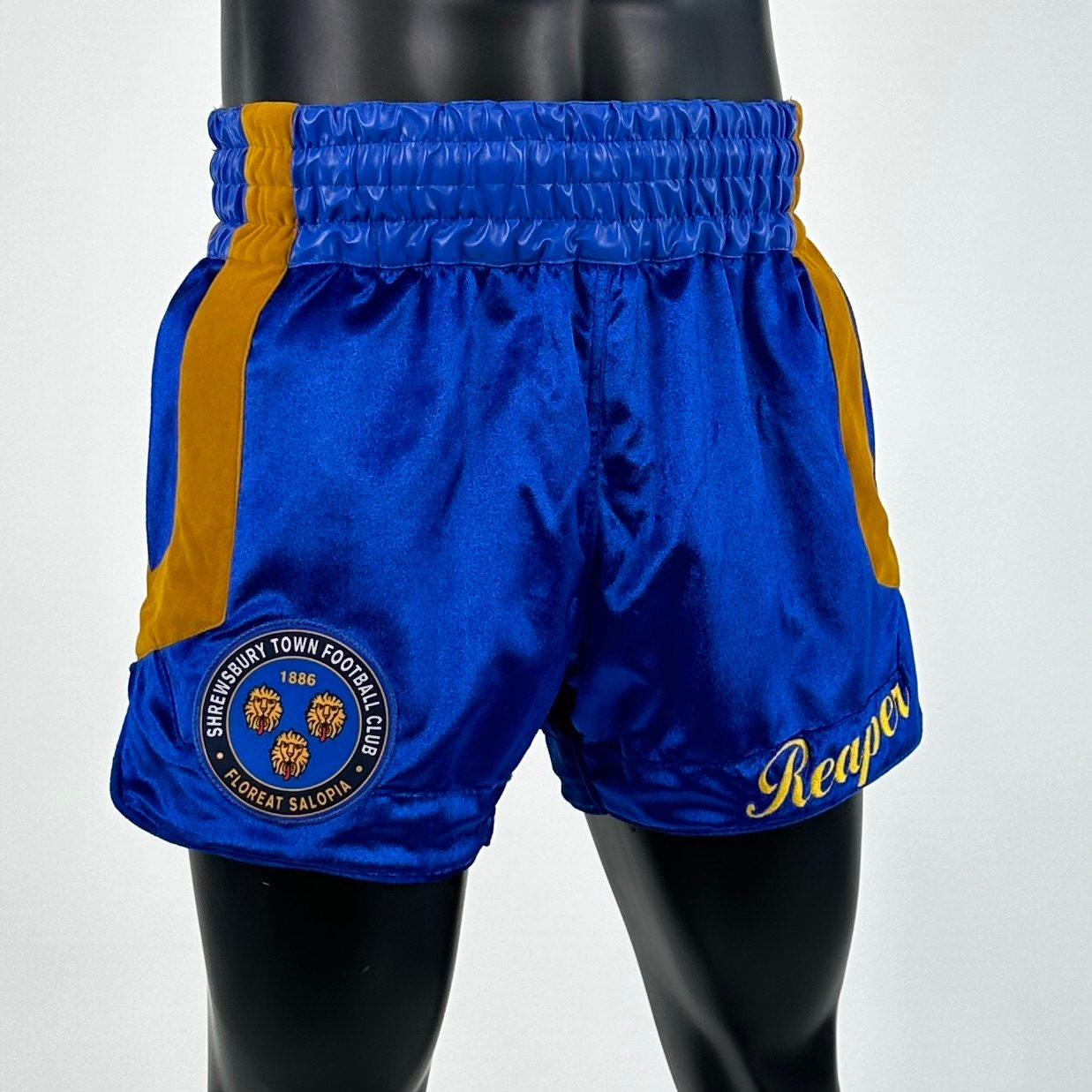 Cotto MTS Lewis 137319 Muay Thai Shorts