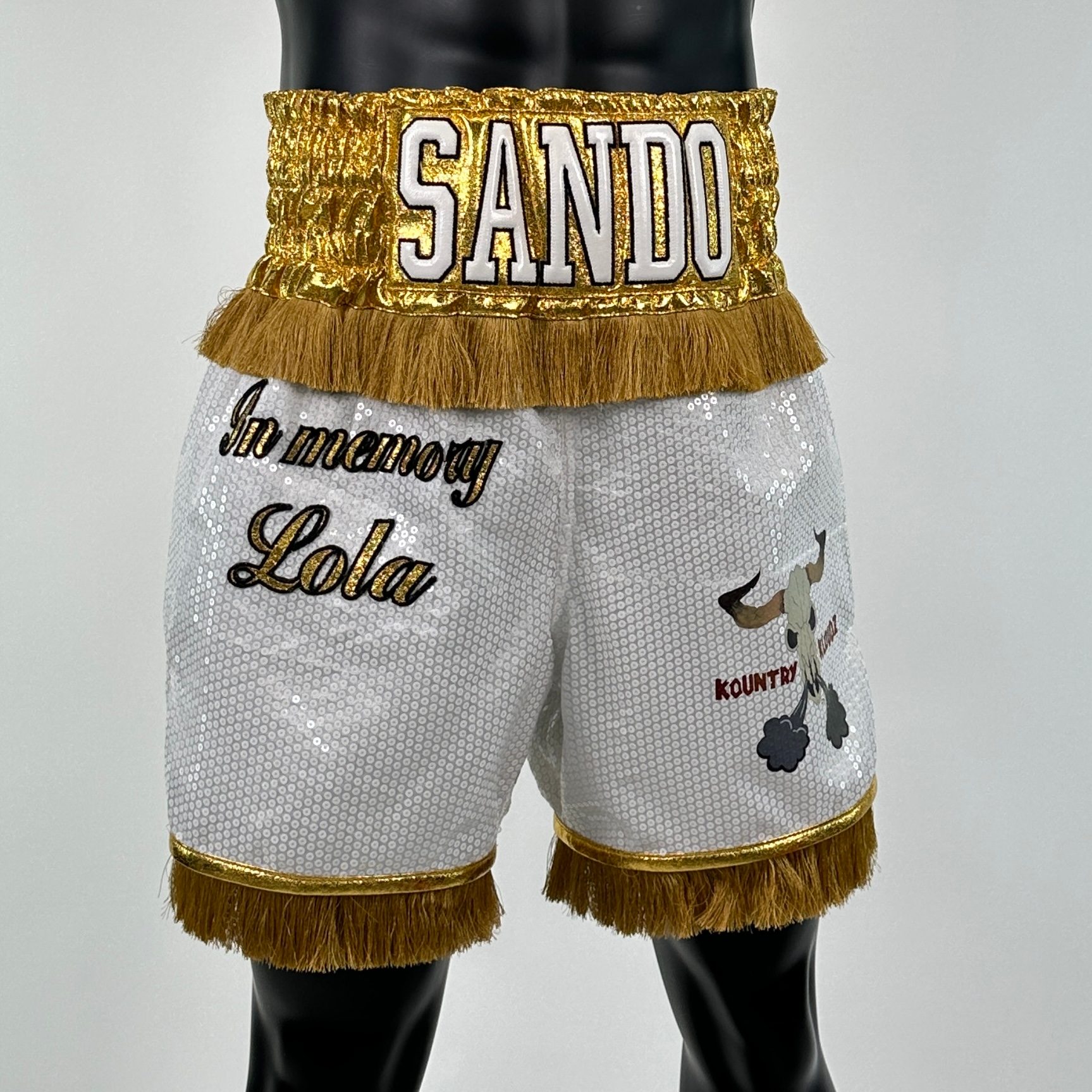 Classic BX old HECTOR 139489 Custom Boxing Shorts & Trunks